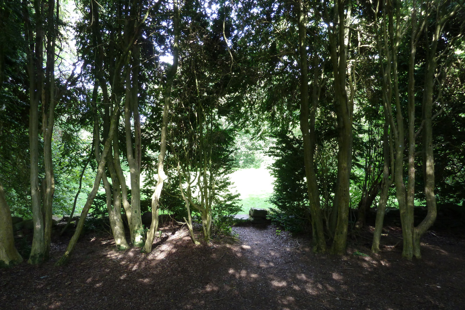 照片 英国(United Kingdom) 苏格兰(Scotland) 英奇马霍姆修道院(Inchmahome Priory) 2011-07 7