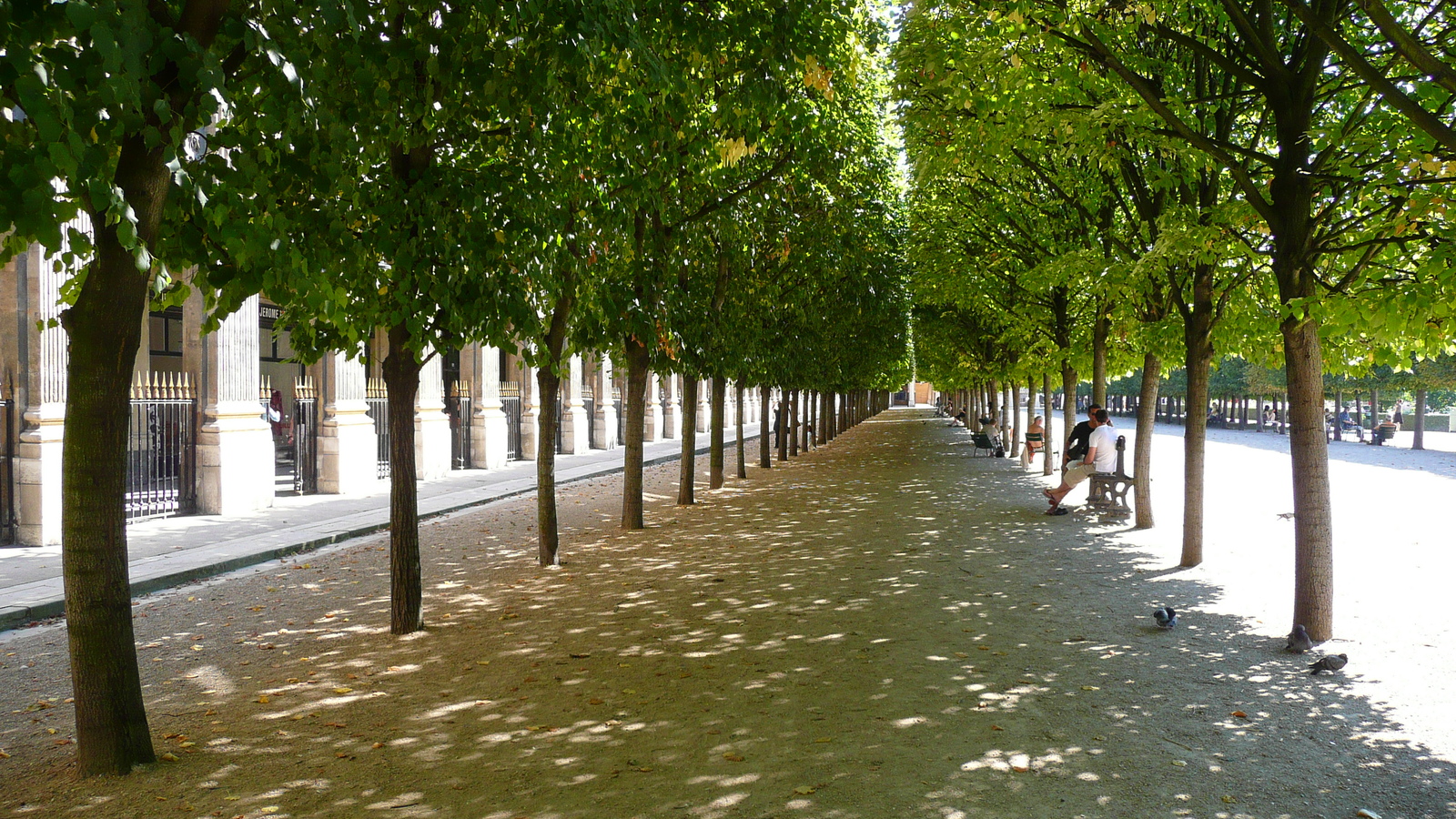 照片 法国(France) 巴黎(Paris) 皇家宫殿(Palais Royal) 2007-08 16