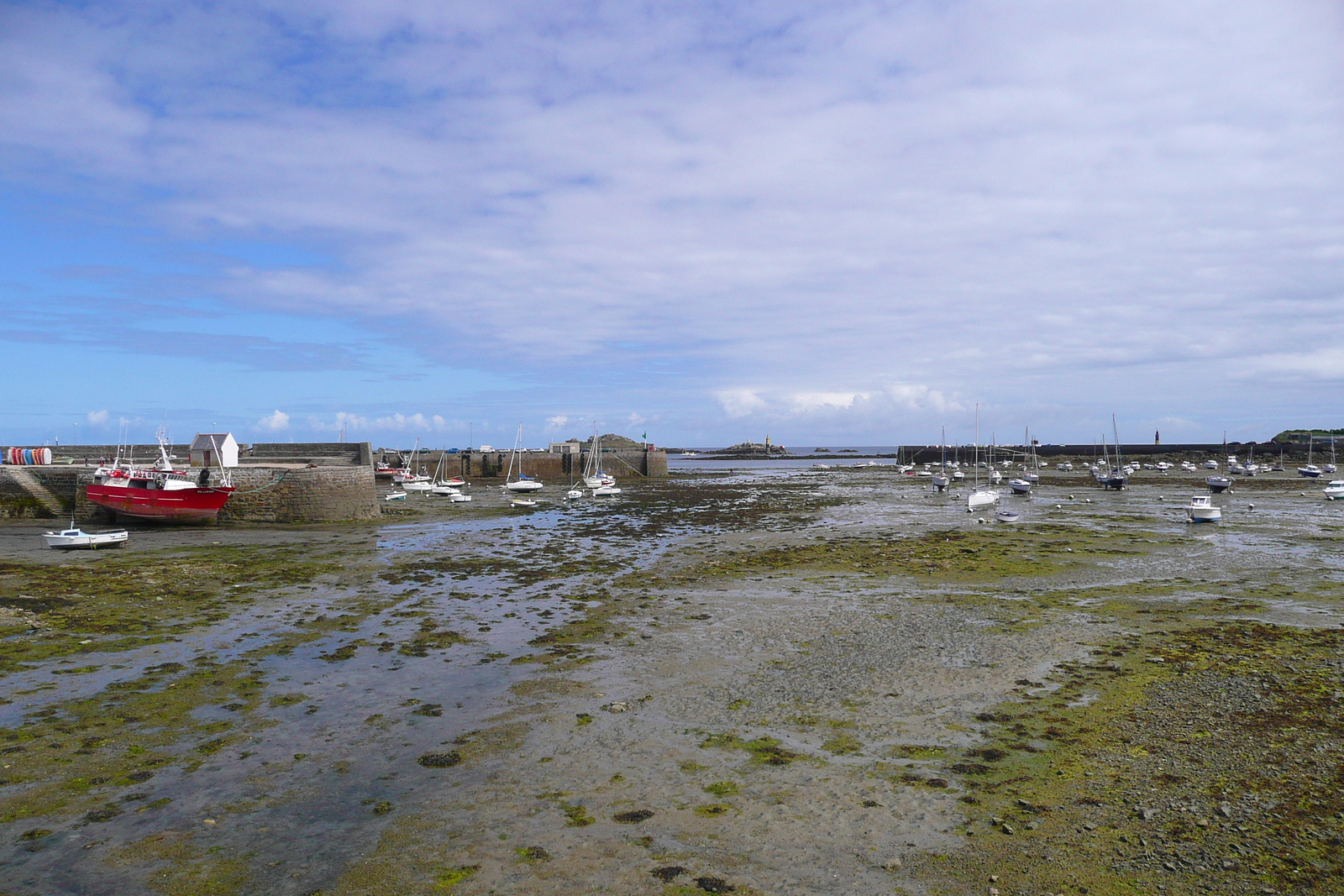 照片 法国(France) 罗斯科夫(Roscoff) 2007-08 13