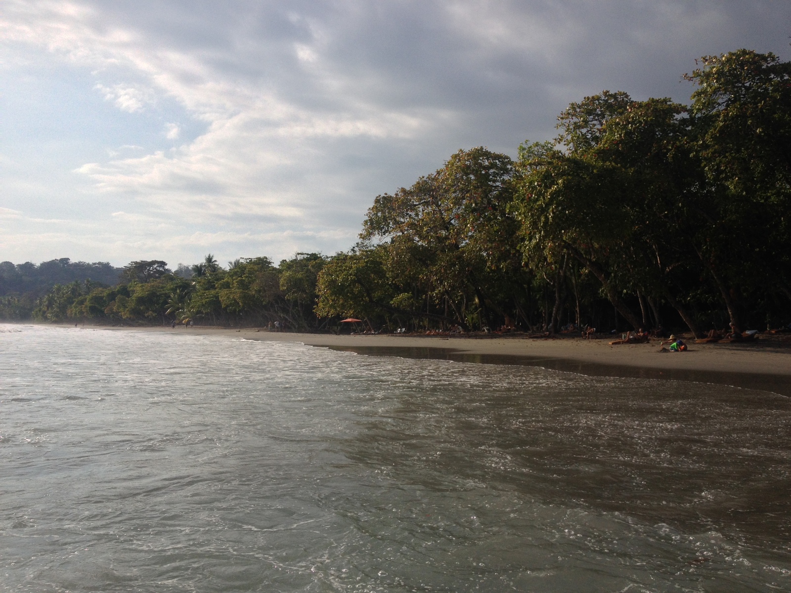 照片 哥斯达黎加(Costa Rica) 曼努埃尔安东尼奥(Manuel Antonio) 2015-03 92