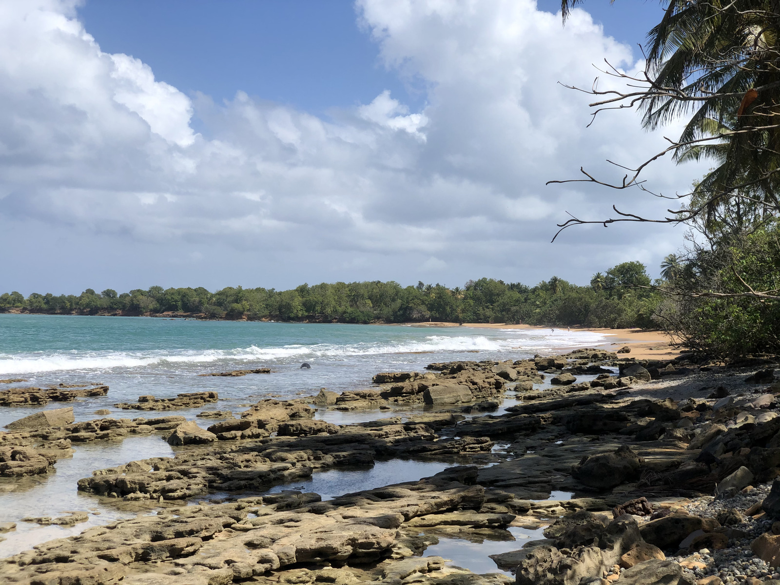 照片 瓜德罗普(Guadeloupe) 克吕尼海滩(Clugny Beach) 2021-02 14