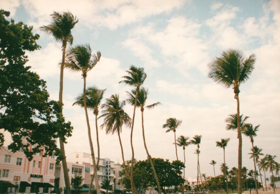 照片 美国(United States) 迈阿密海滩(Miami Beach) 1991-11 10