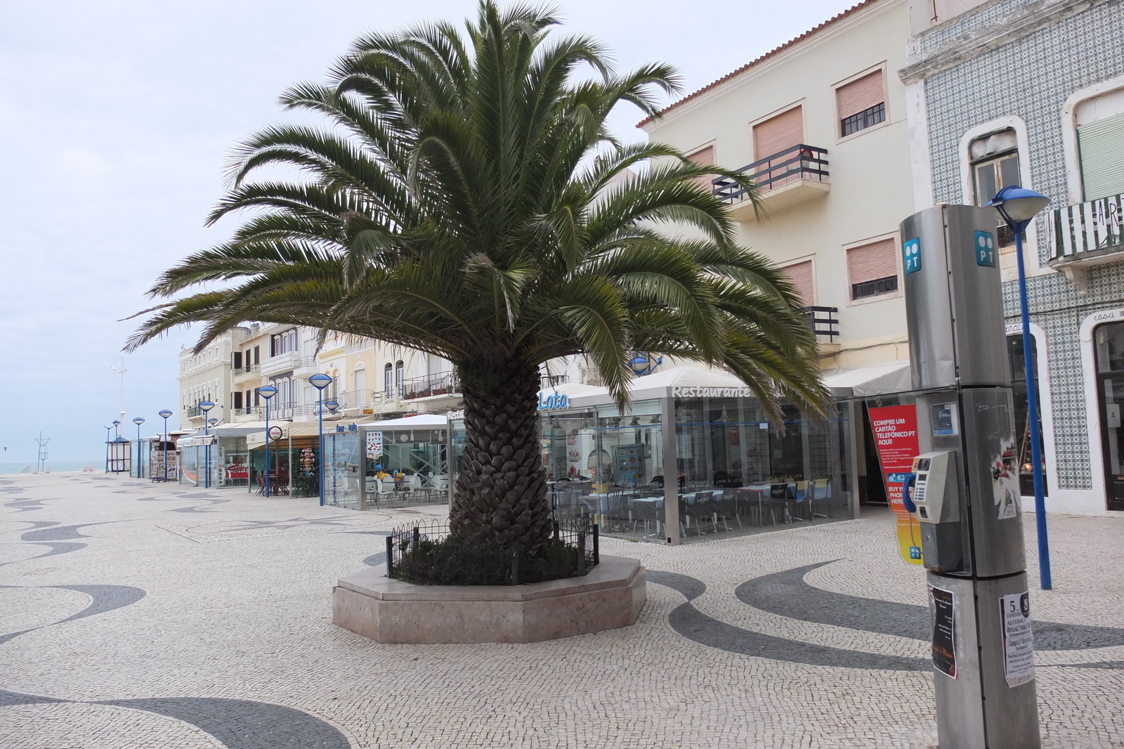 照片 葡萄牙(Portugal) 纳扎雷(Nazare) 2013-01 6
