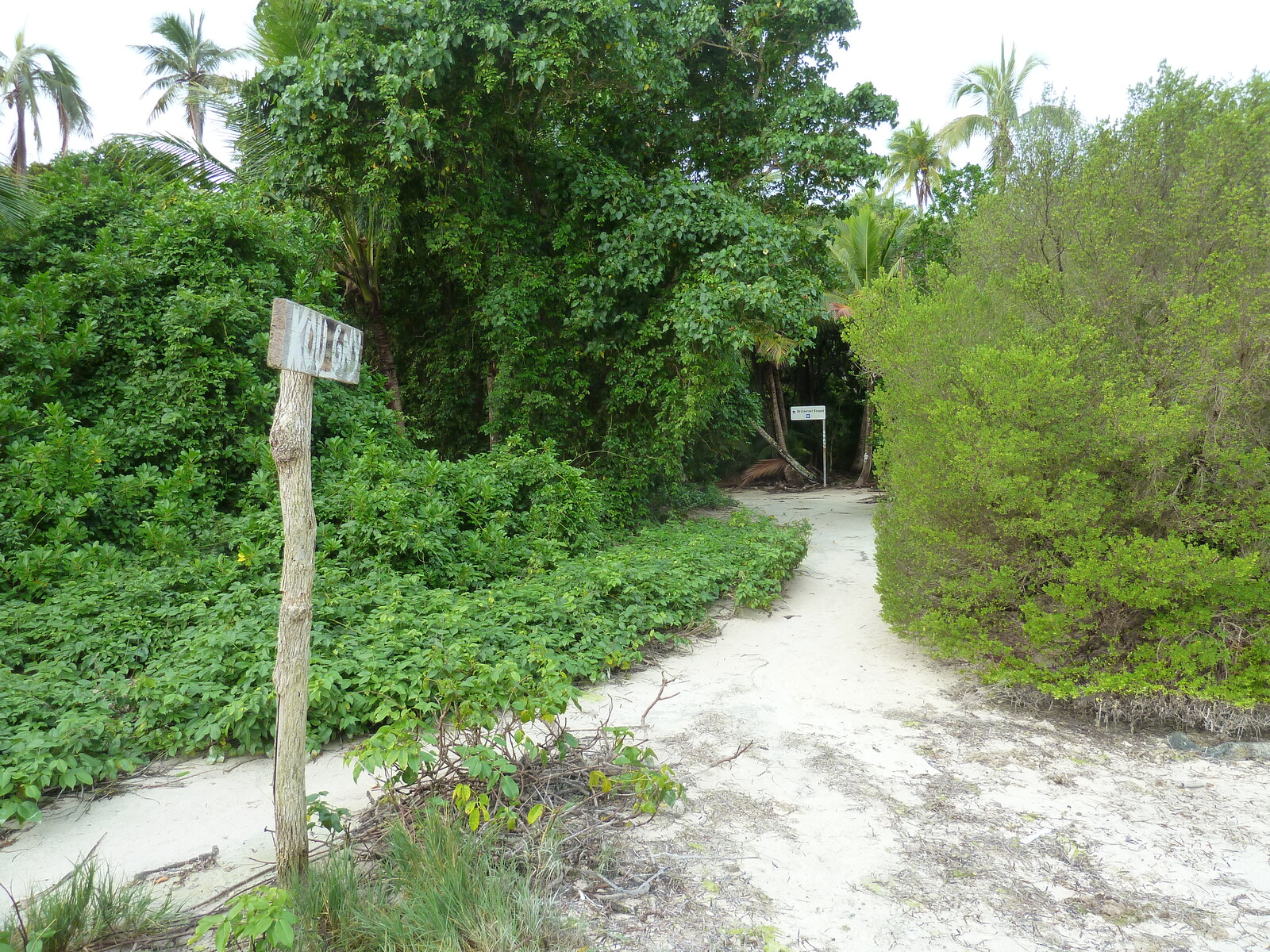 照片 新喀里多尼亚(New Caledonia) 松树岛(Ile des pins) 奥罗湾(Oro Bay) 2010-05 15