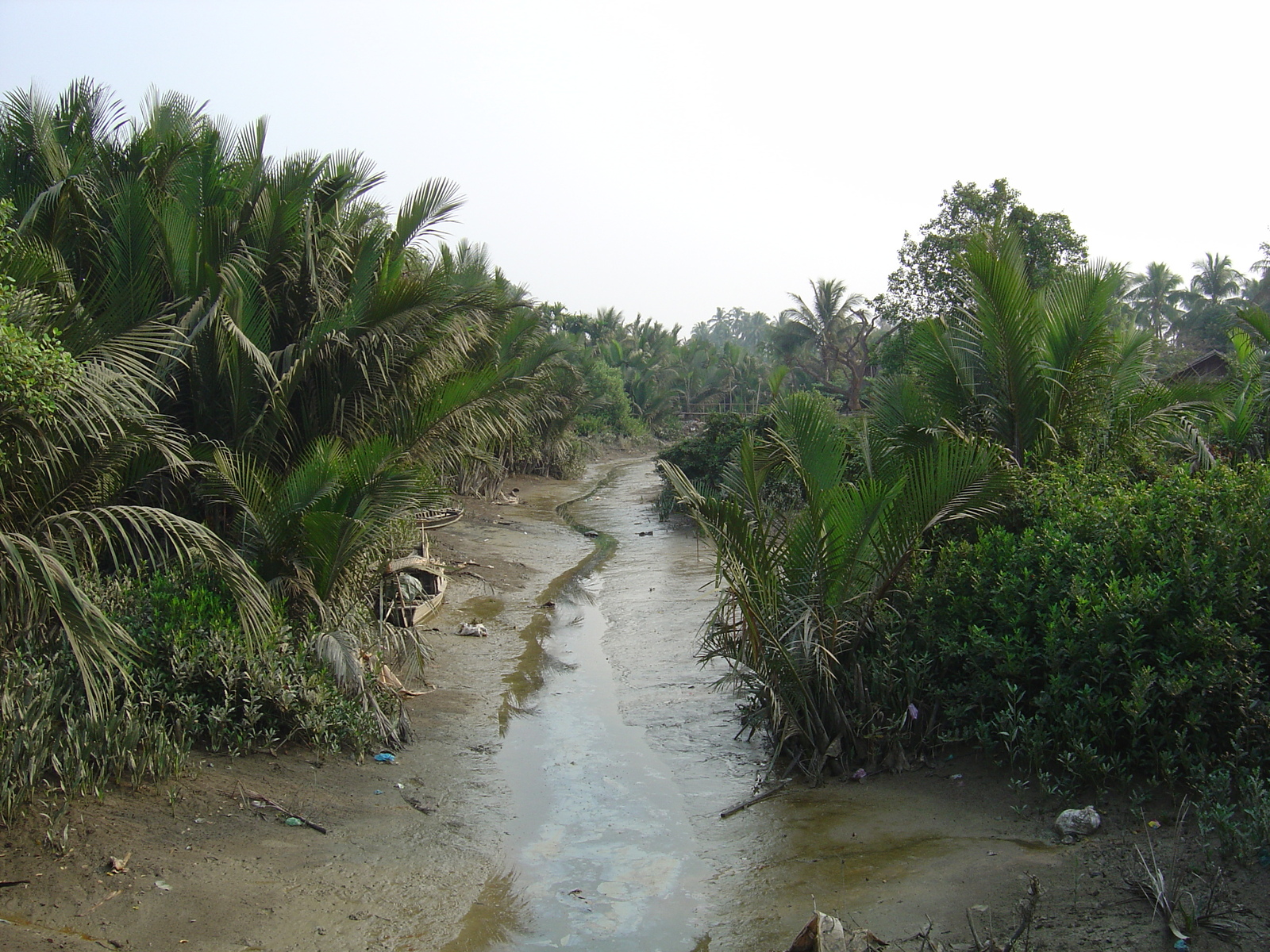 照片 缅甸(Myanmar) 土瓦(Dawei (TAVOY)) 2005-01 101