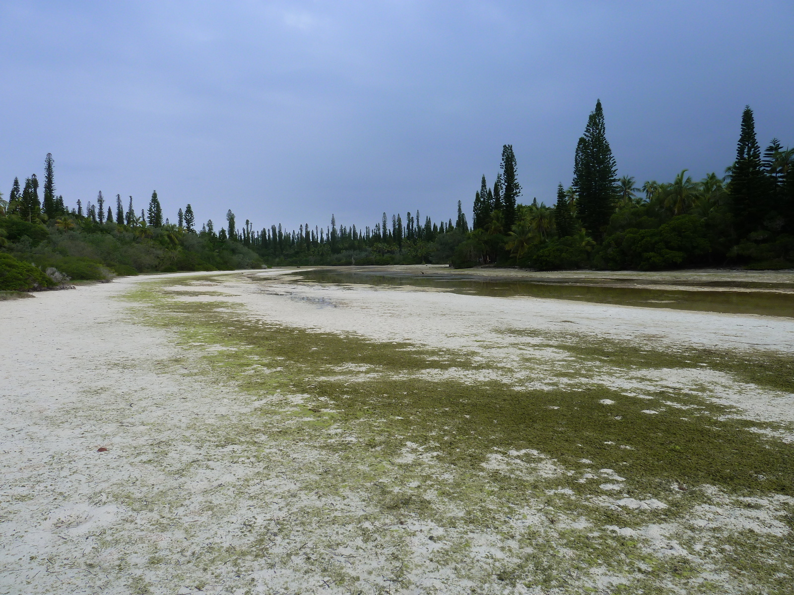 照片 新喀里多尼亚(New Caledonia) 松树岛(Ile des pins) 奥罗湾(Oro Bay) 2010-05 40