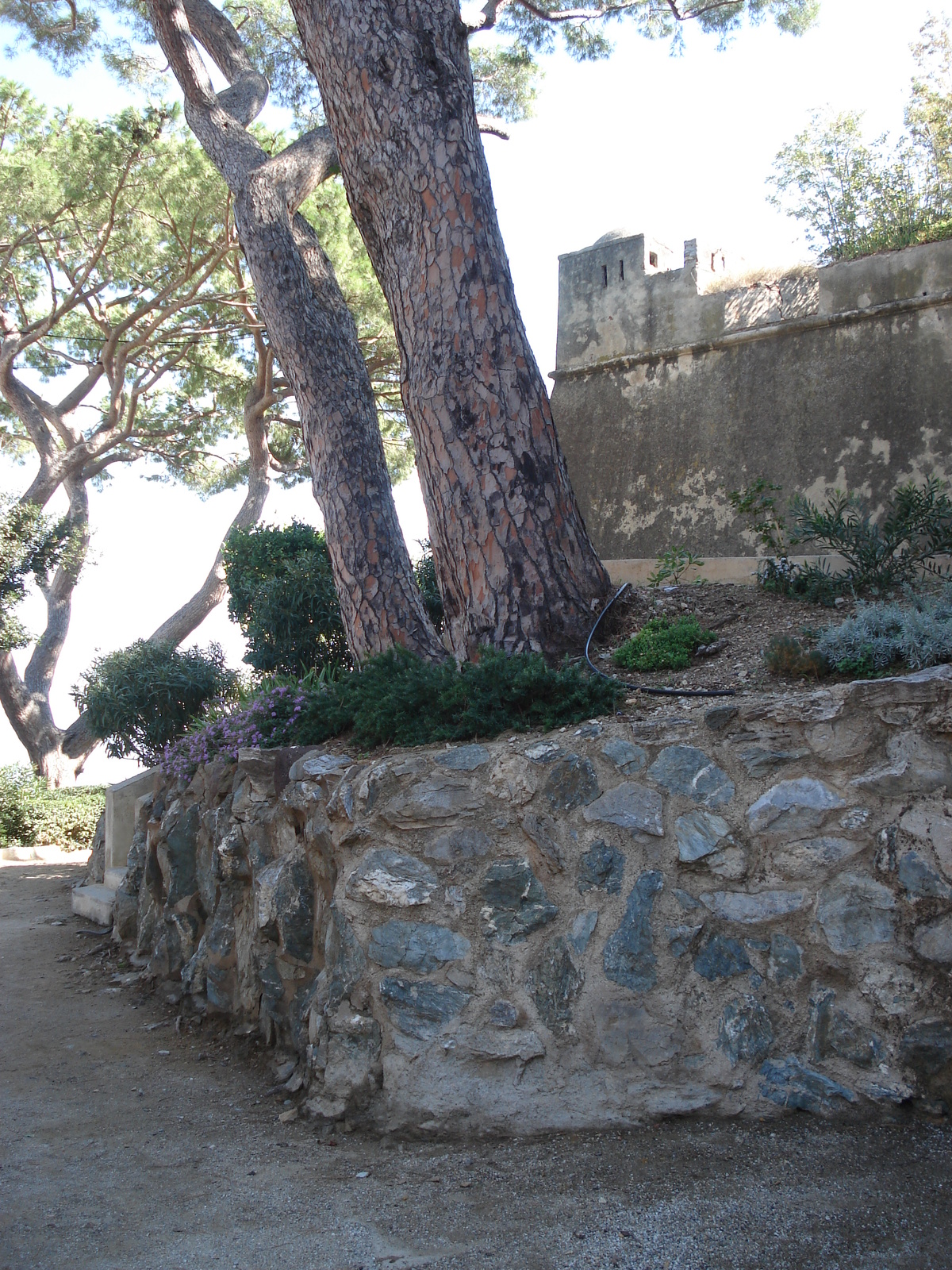照片 法国(France) 科西嘉岛(Corsica) 巴斯蒂亚(Bastia) 2006-09 119