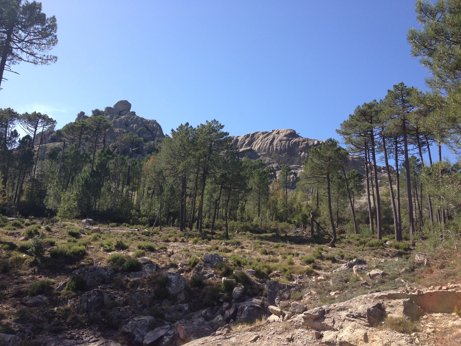 照片 法国(France) 科西嘉岛(Corsica) 奥斯佩达莱森林(L'ospedale Forest) 2012-09 38