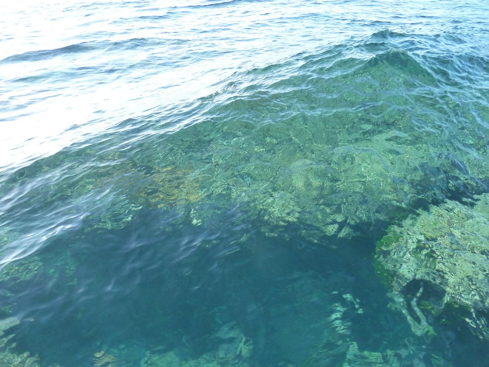 照片 斐济(Fiji) 漂流者岛(Castaway Island) 2010-05 185