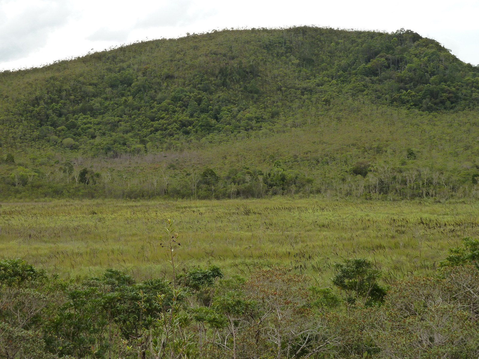 照片 新喀里多尼亚(New Caledonia) 蓝河公园(Parc de la Riviere Bleue) 2010-05 51