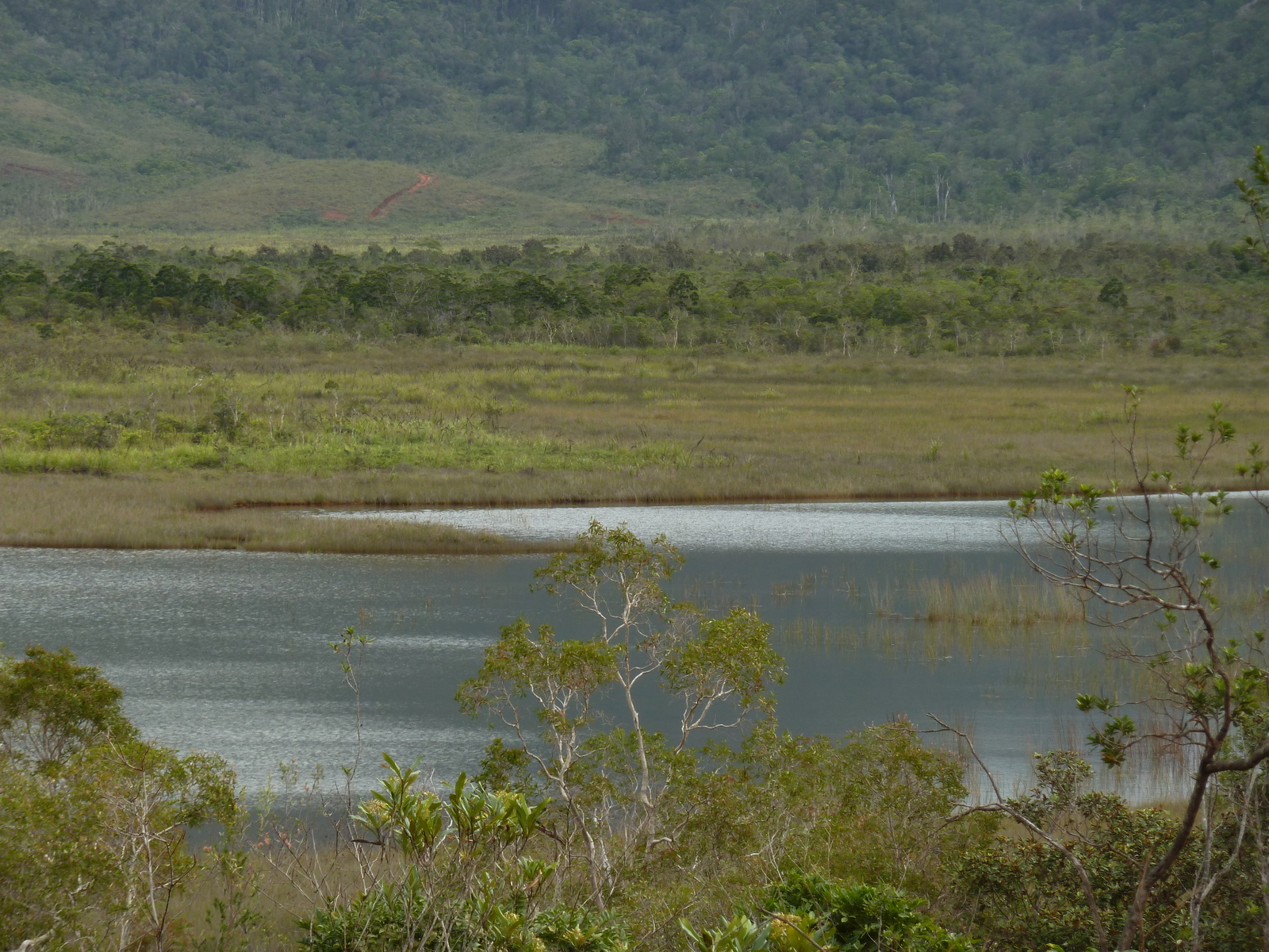 照片 新喀里多尼亚(New Caledonia) 蓝河公园(Parc de la Riviere Bleue) 2010-05 22