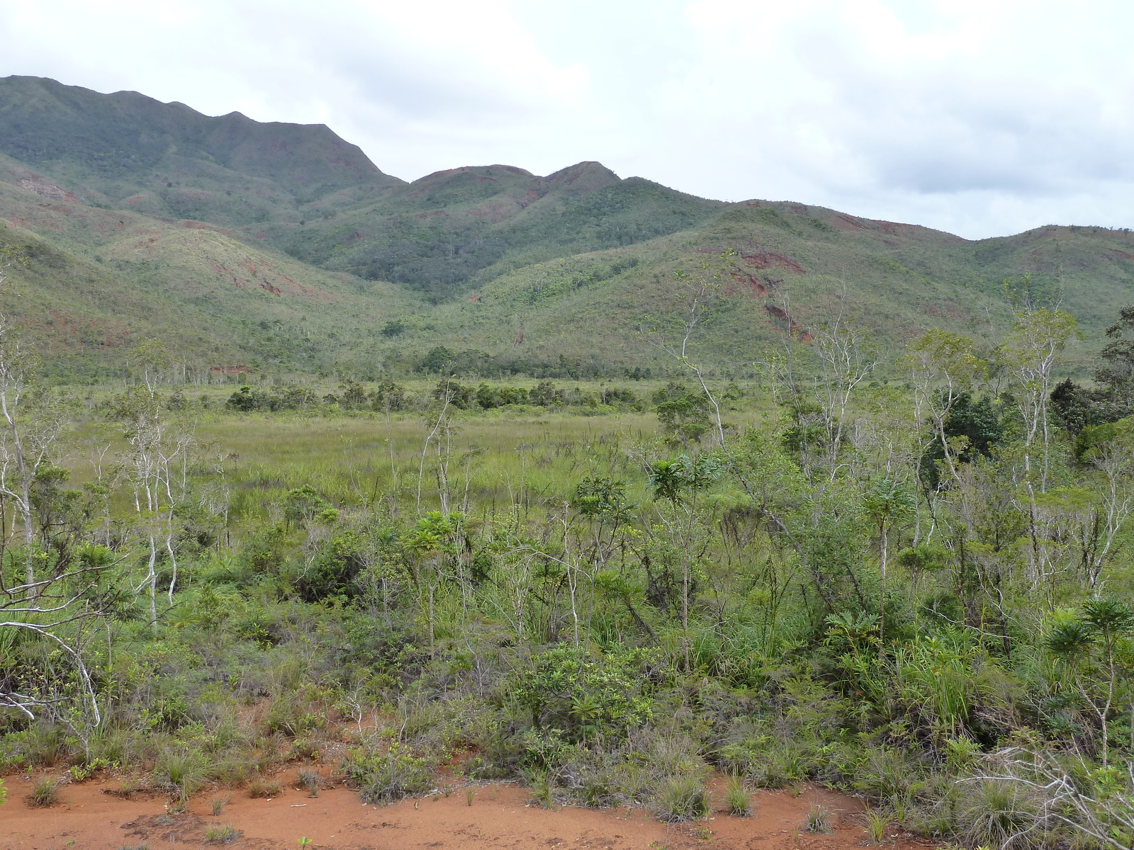 照片 新喀里多尼亚(New Caledonia) 蓝河公园(Parc de la Riviere Bleue) 2010-05 50
