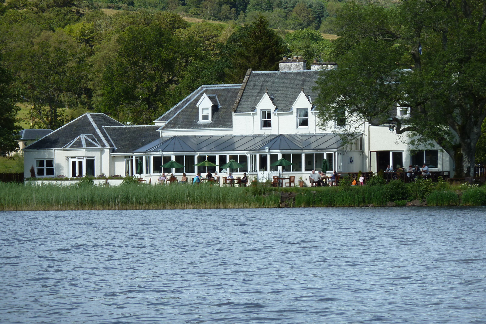 照片 英国(United Kingdom) 特罗萨克斯(The Trossachs) 2011-07 52