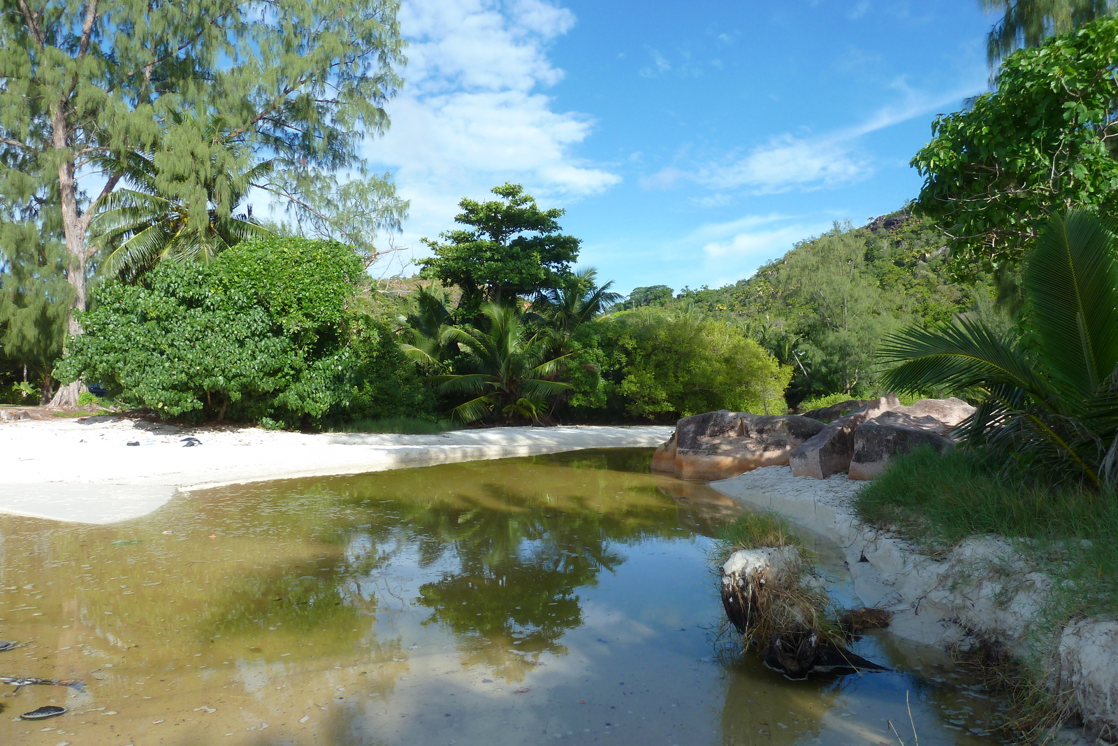 照片 塞舌尔(Seychelles) 拉齐奥湾(Anse Lazio) 2011-10 77