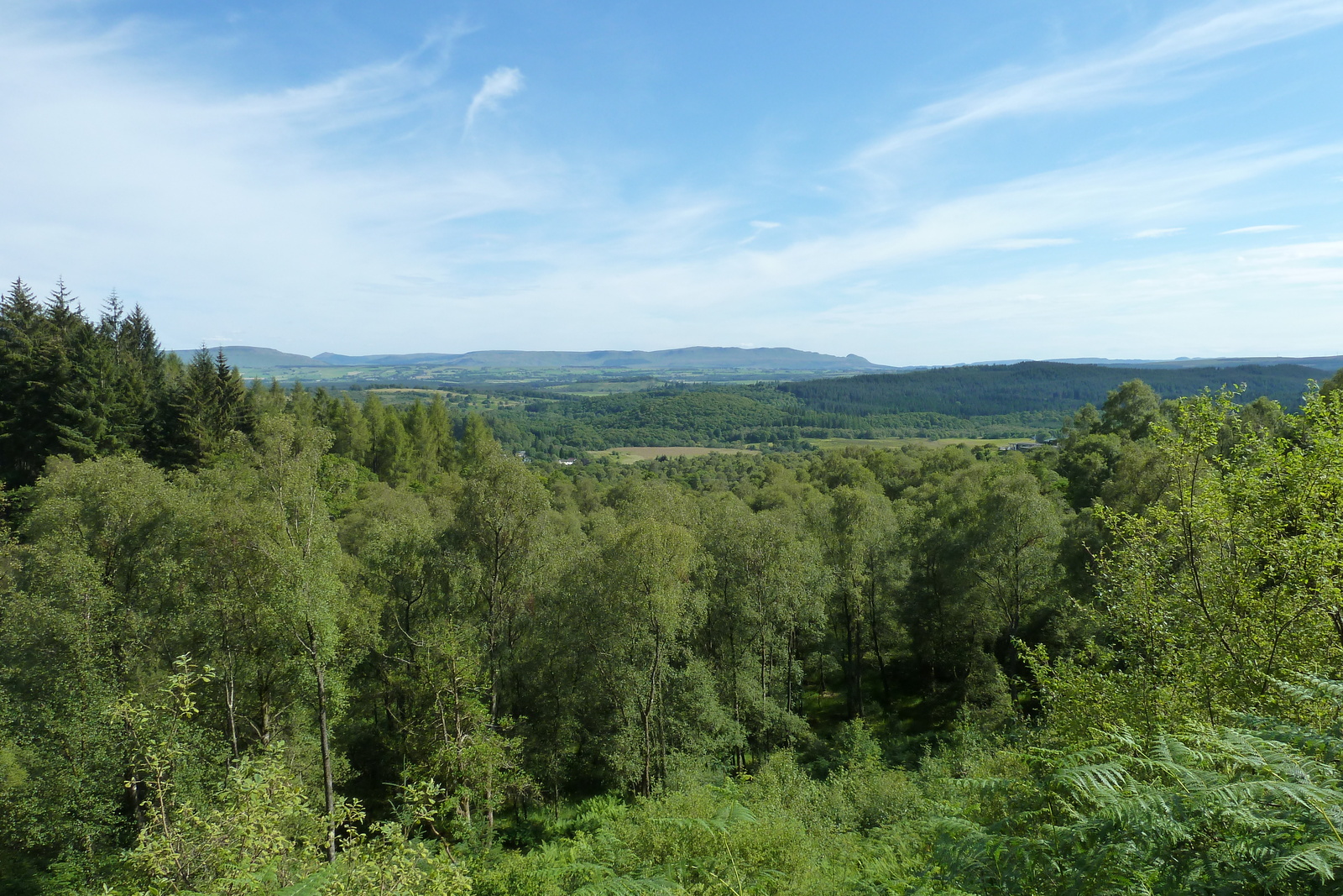 照片 英国(United Kingdom) 特罗萨克斯(The Trossachs) 2011-07 43