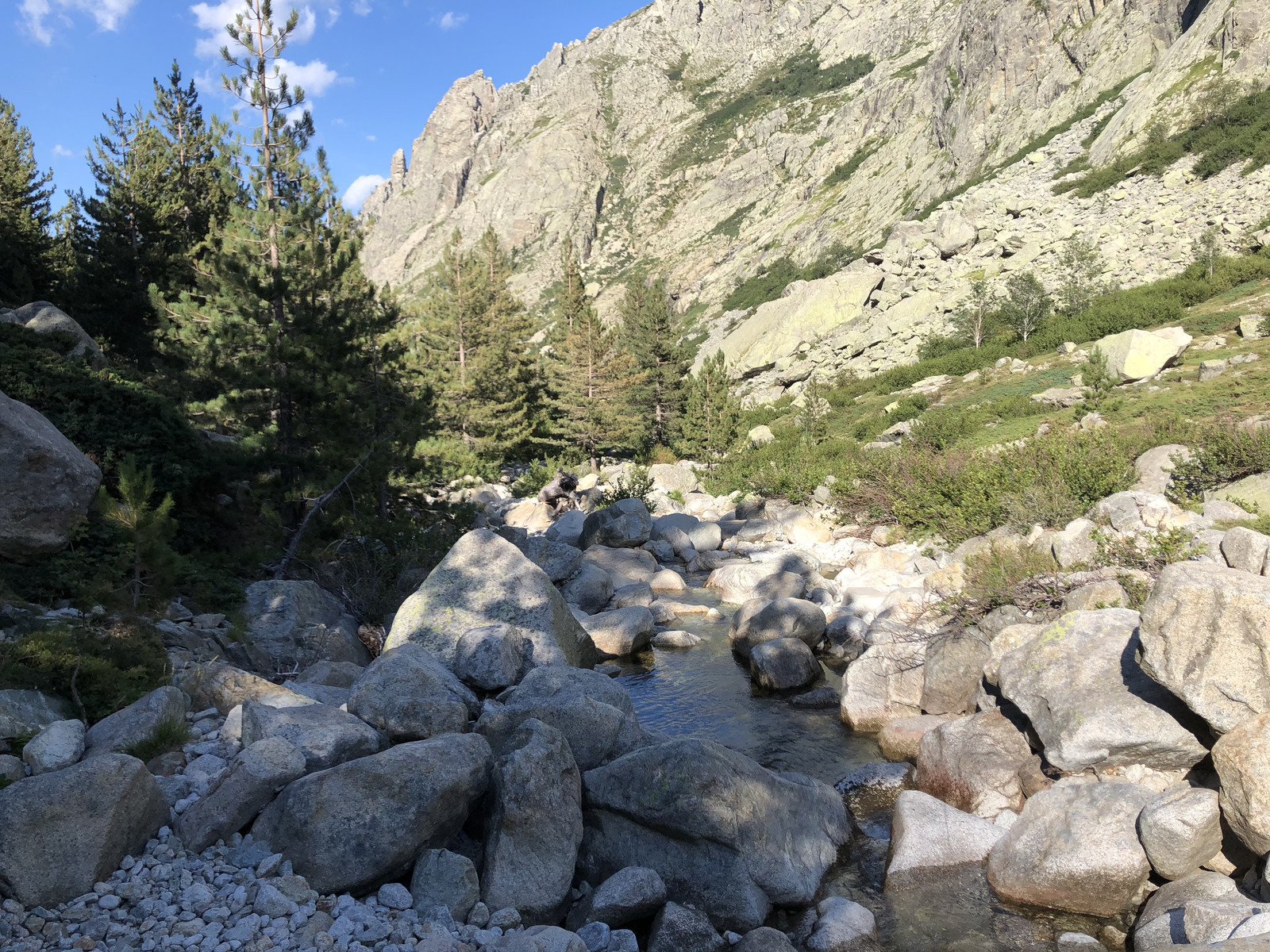照片 法国(France) 科西嘉岛(Corsica) 雷斯托尼卡山谷(La Restonica) 2020-07 26