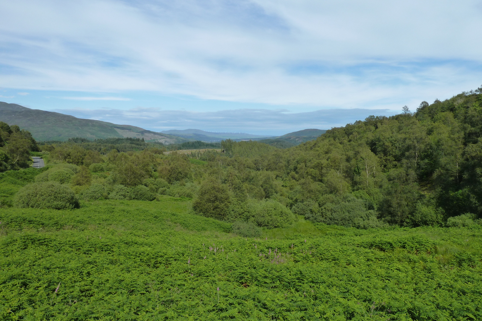 照片 英国(United Kingdom) 特罗萨克斯(The Trossachs) 2011-07 38