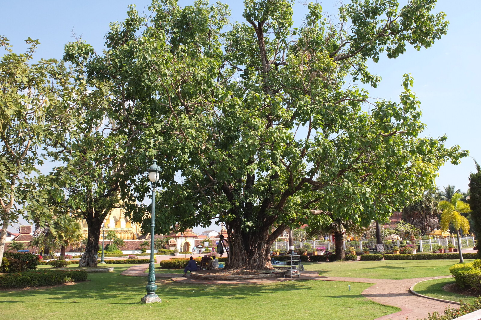 照片 老挝(Laos) 万象(Vientiane) 2012-12 296