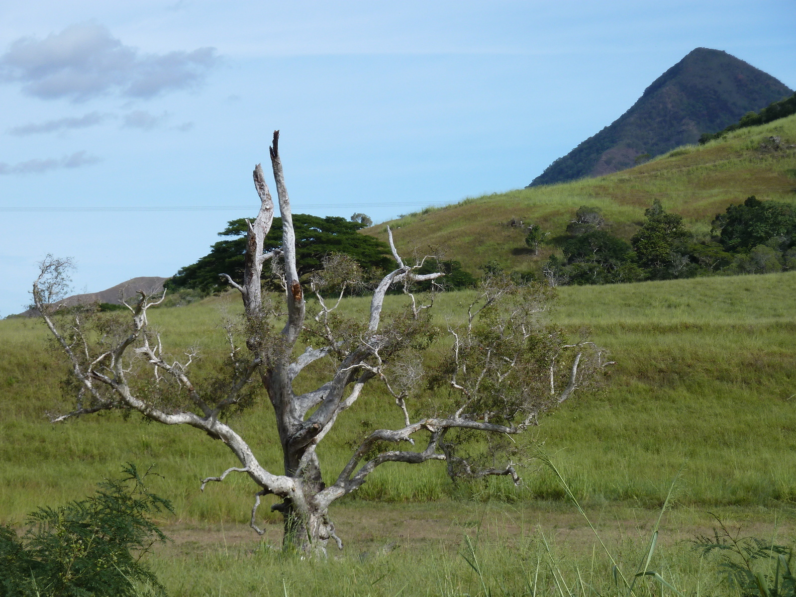 照片 新喀里多尼亚(New Caledonia) 2010-05 48