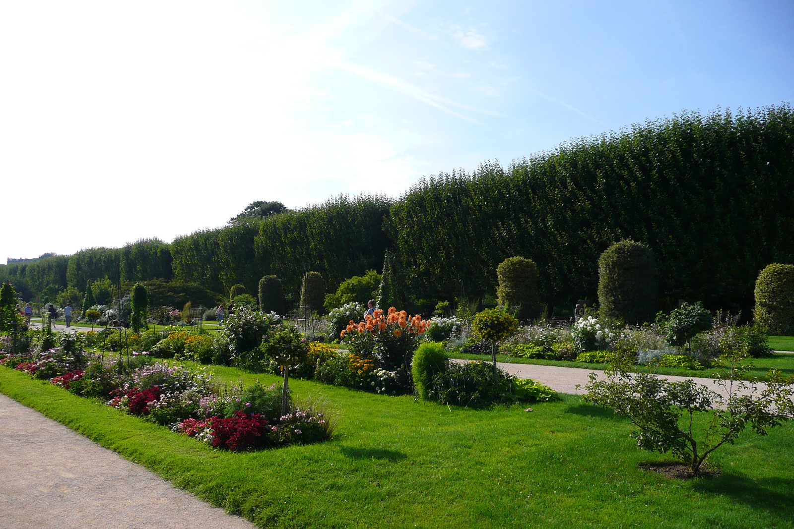 照片 法国(France) 巴黎(Paris) 巴黎植物园(Jardin des Plantes) 2007-08 184