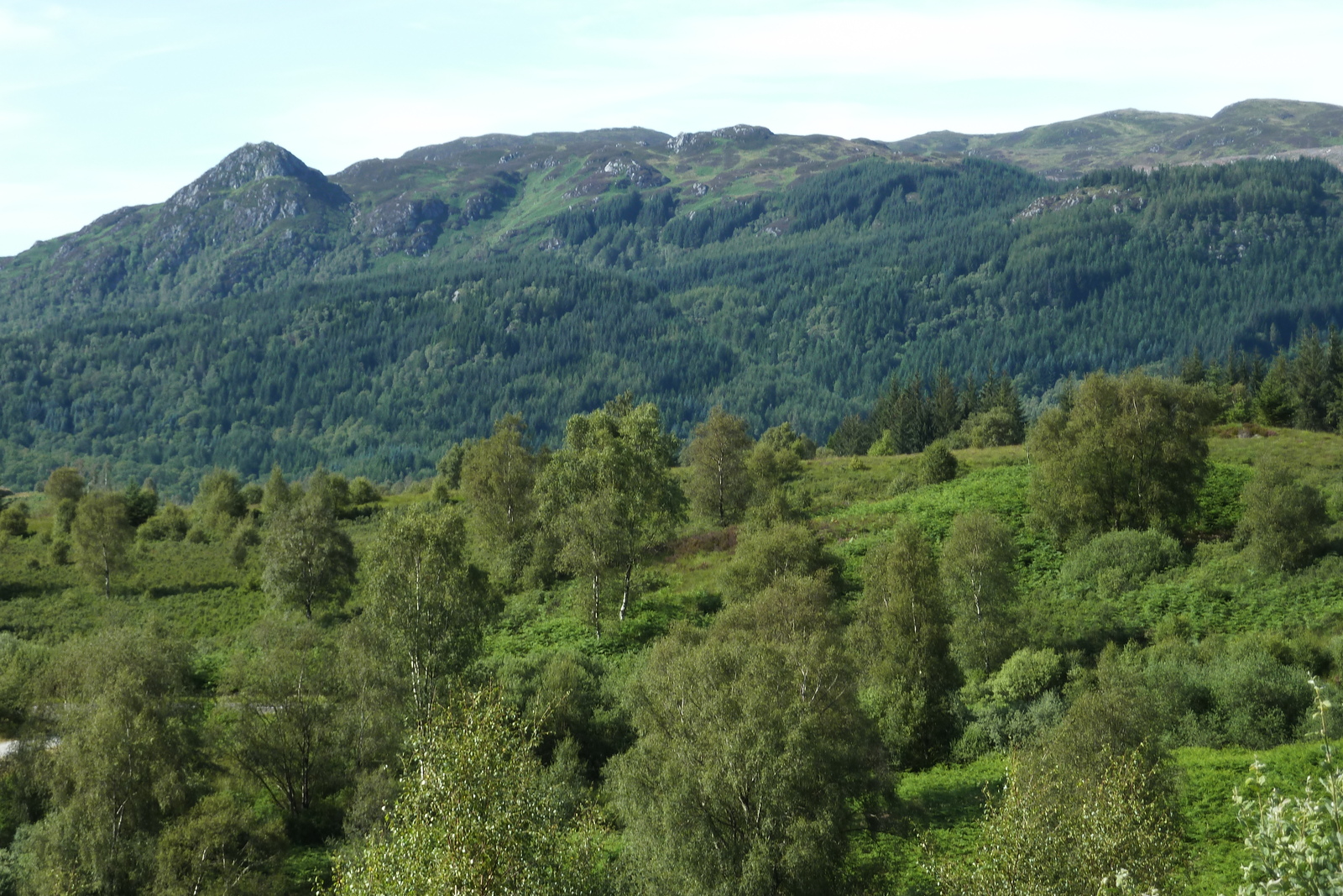 照片 英国(United Kingdom) 特罗萨克斯(The Trossachs) 2011-07 68