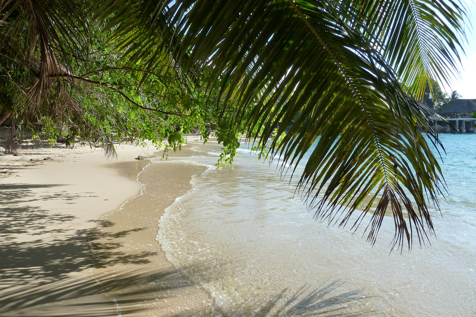 照片 塞舌尔(Seychelles) 马埃岛(Mahe) 2011-10 207