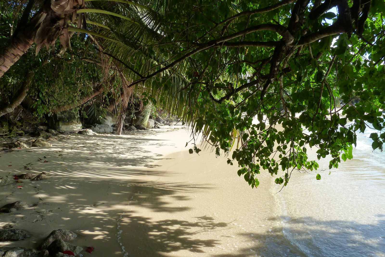 照片 塞舌尔(Seychelles) 马埃岛(Mahe) 2011-10 219
