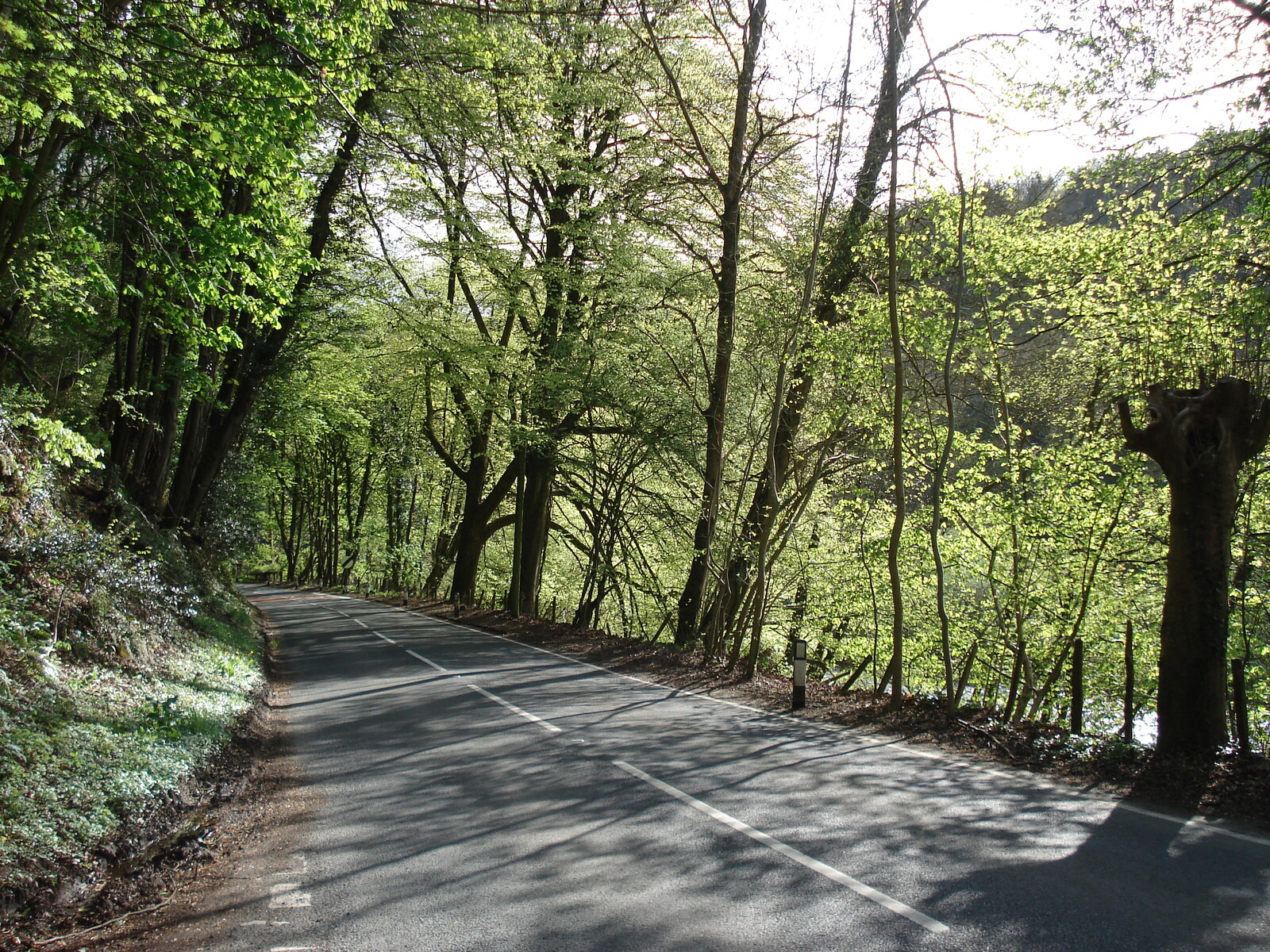照片 英国(United Kingdom) 瓦伊河谷(Wye Valley) 2006-05 15