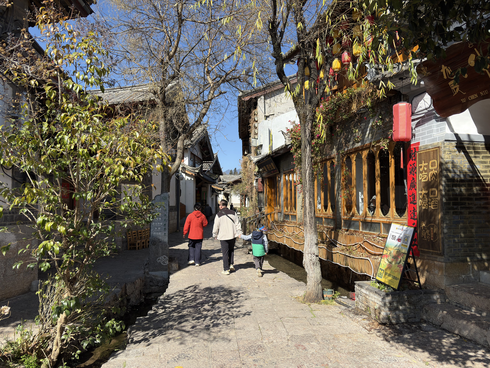 照片 中国(China) 丽江(Lijiang) 2026-01 518