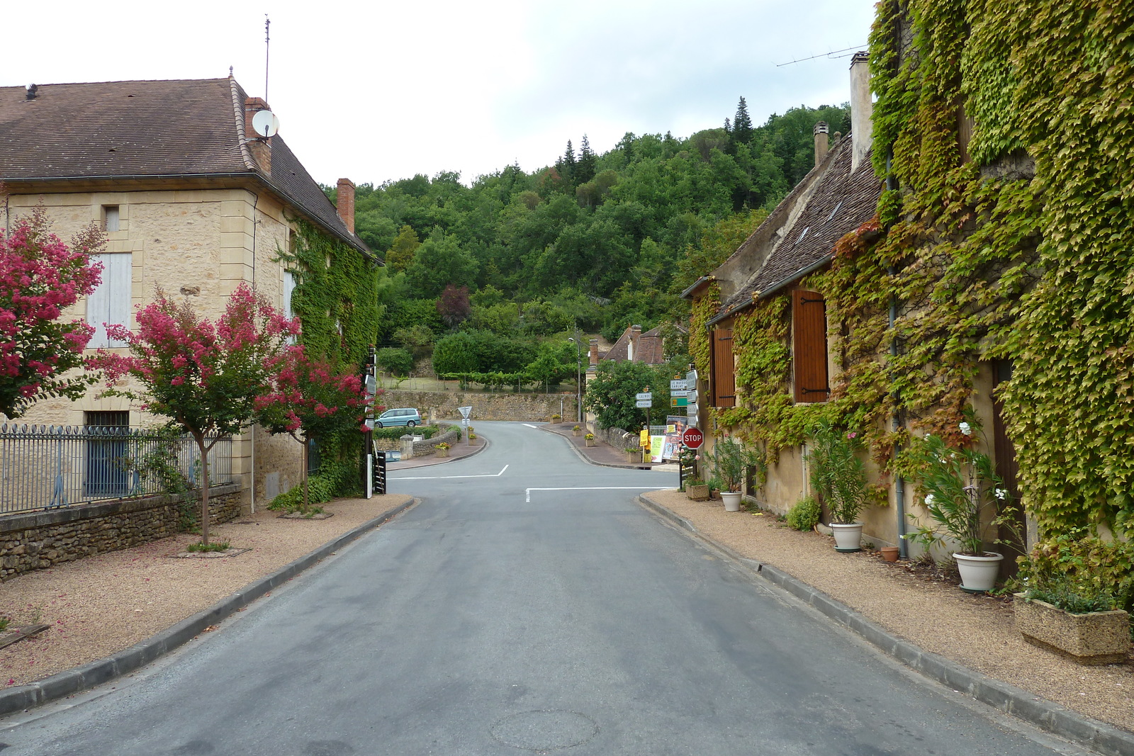 照片 法国(France) 卡杜安(Cadouin) 2010-08 21