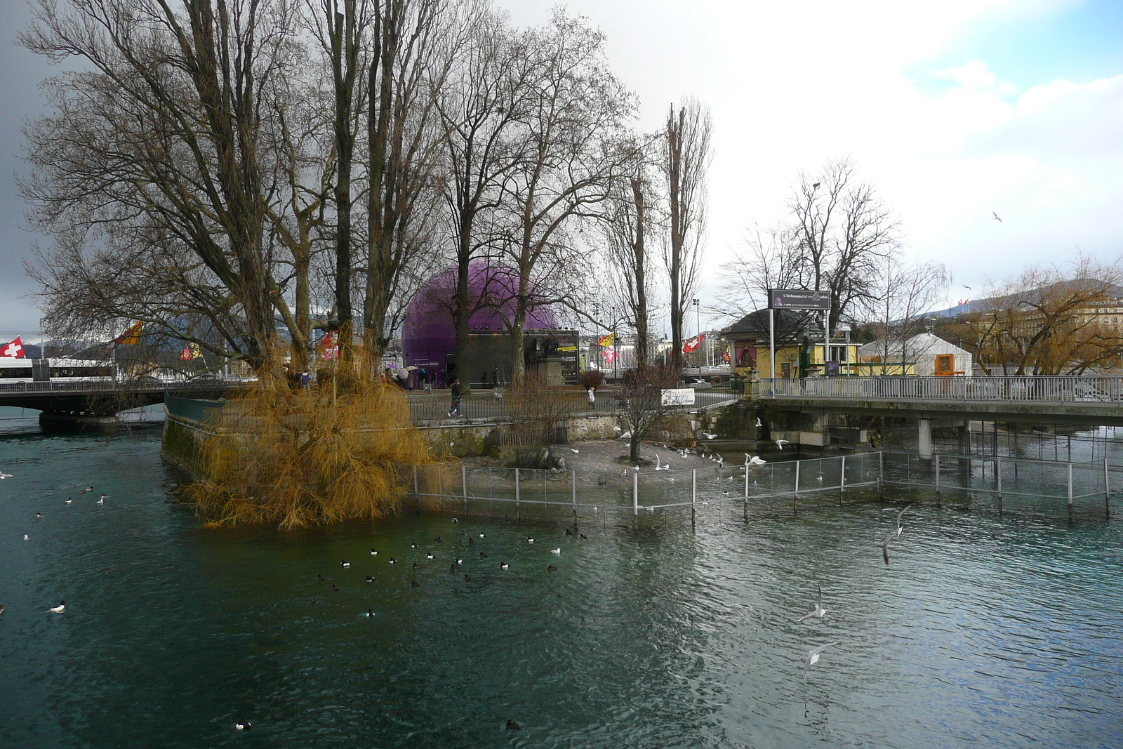 照片 瑞士(Switzerland) 日内瓦(Geneva) 2010-02 0