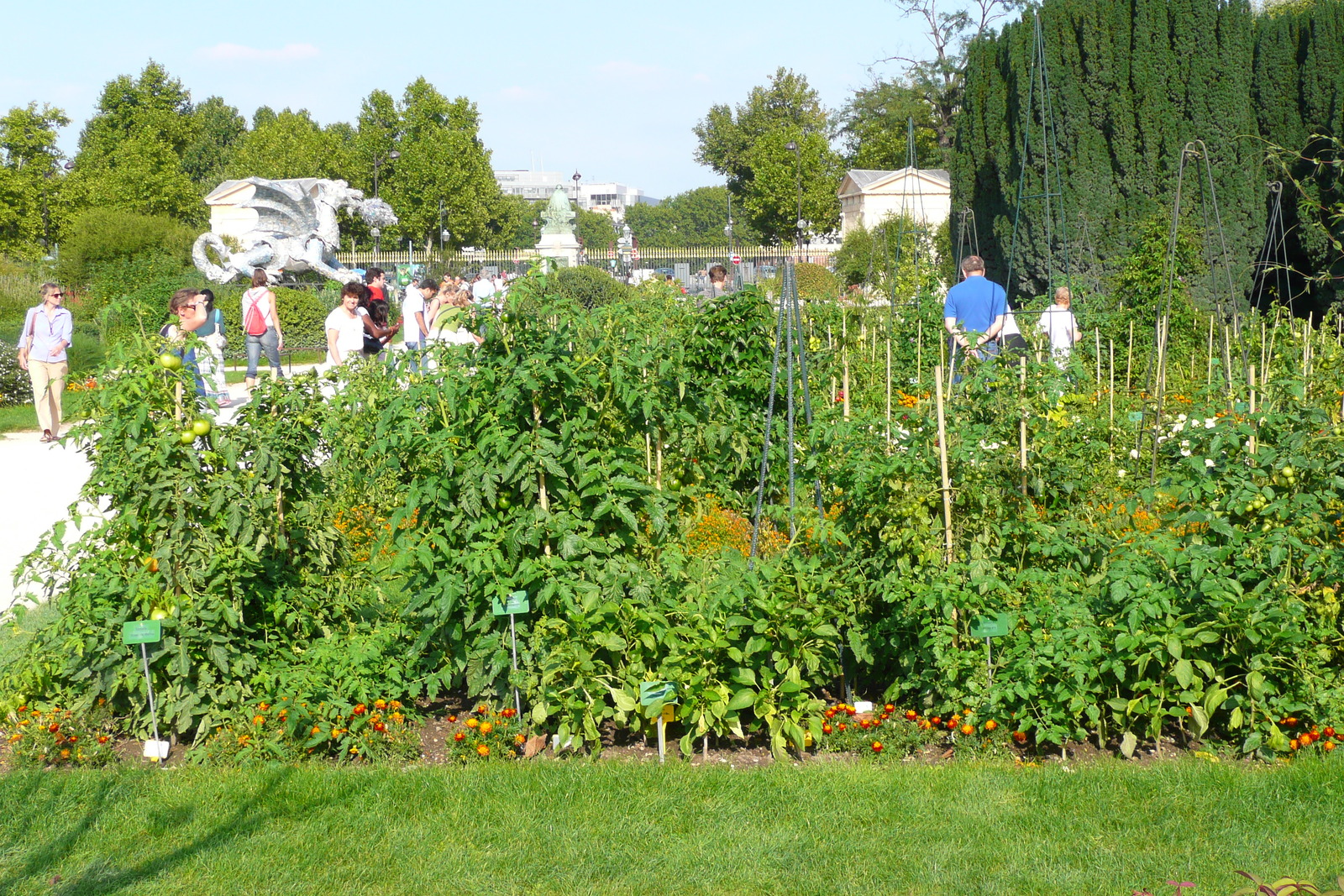 照片 法国(France) 巴黎(Paris) 巴黎植物园(Jardin des Plantes) 2007-08 204