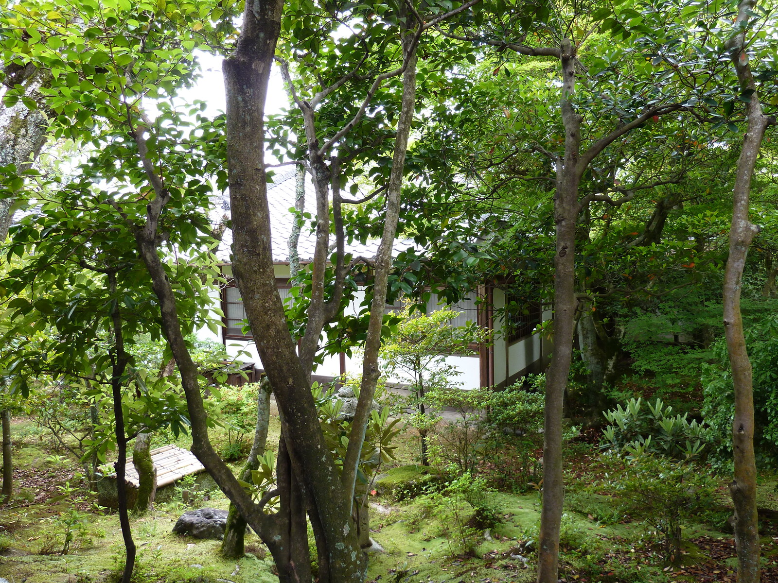 照片 日本(Japan) 京都(Kyoto) 仁和寺御殿(Ninna ji imperial Residence) 2010-06 100
