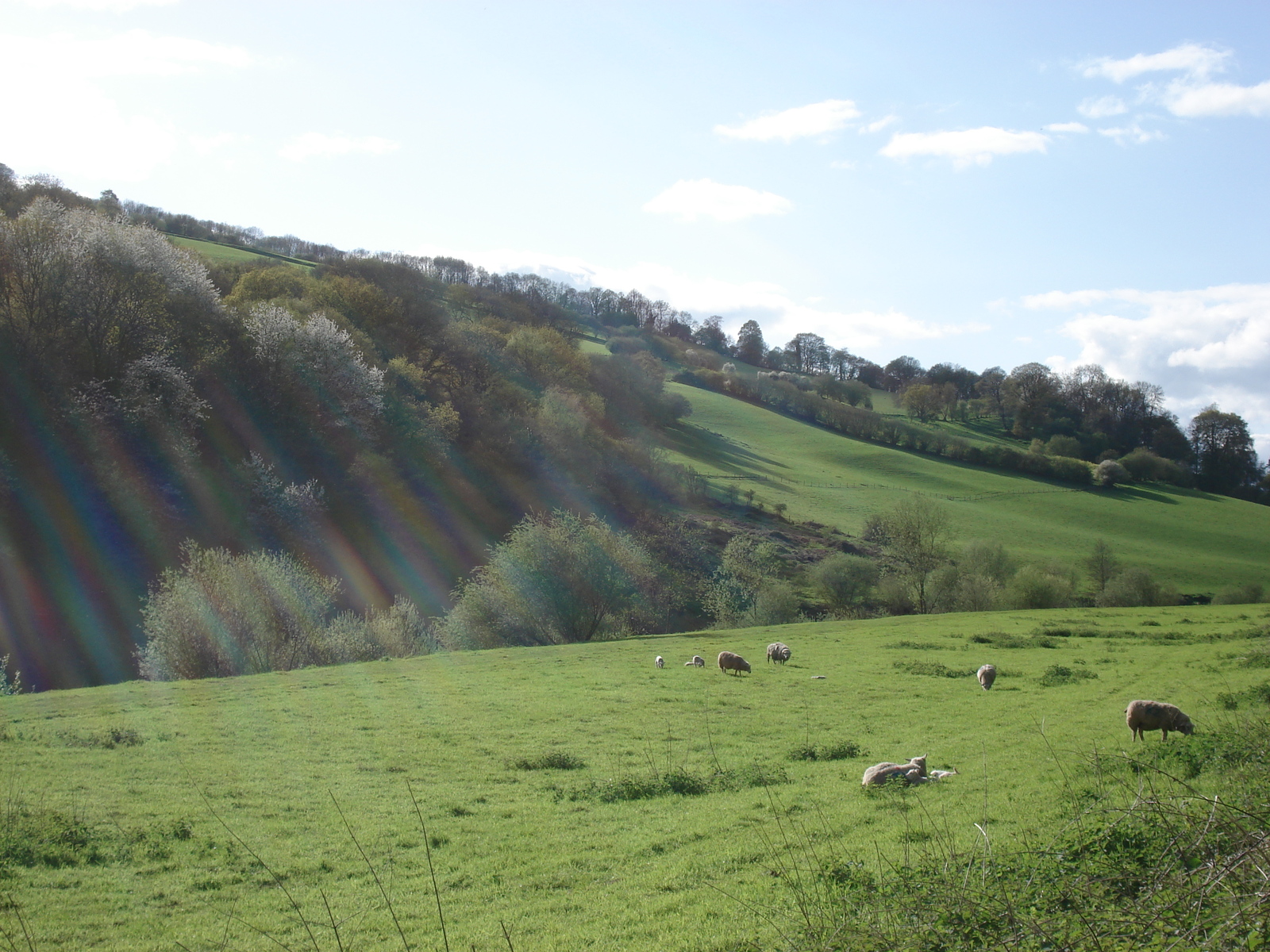 照片 英国(United Kingdom) 瓦伊河谷(Wye Valley) 2006-05 2