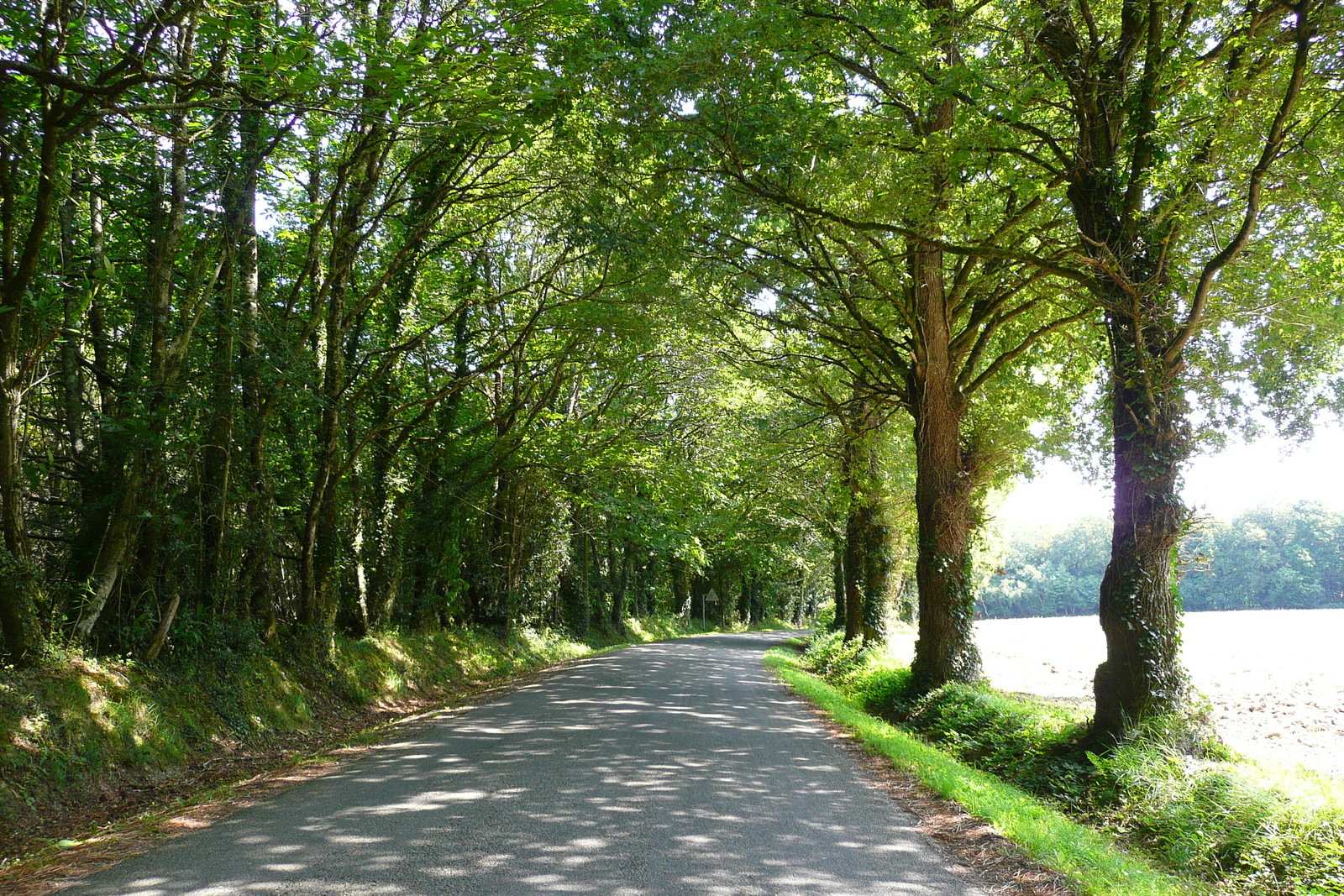 照片 法国(France) 布列塔尼公路(Brittany roads) 2007-08 56