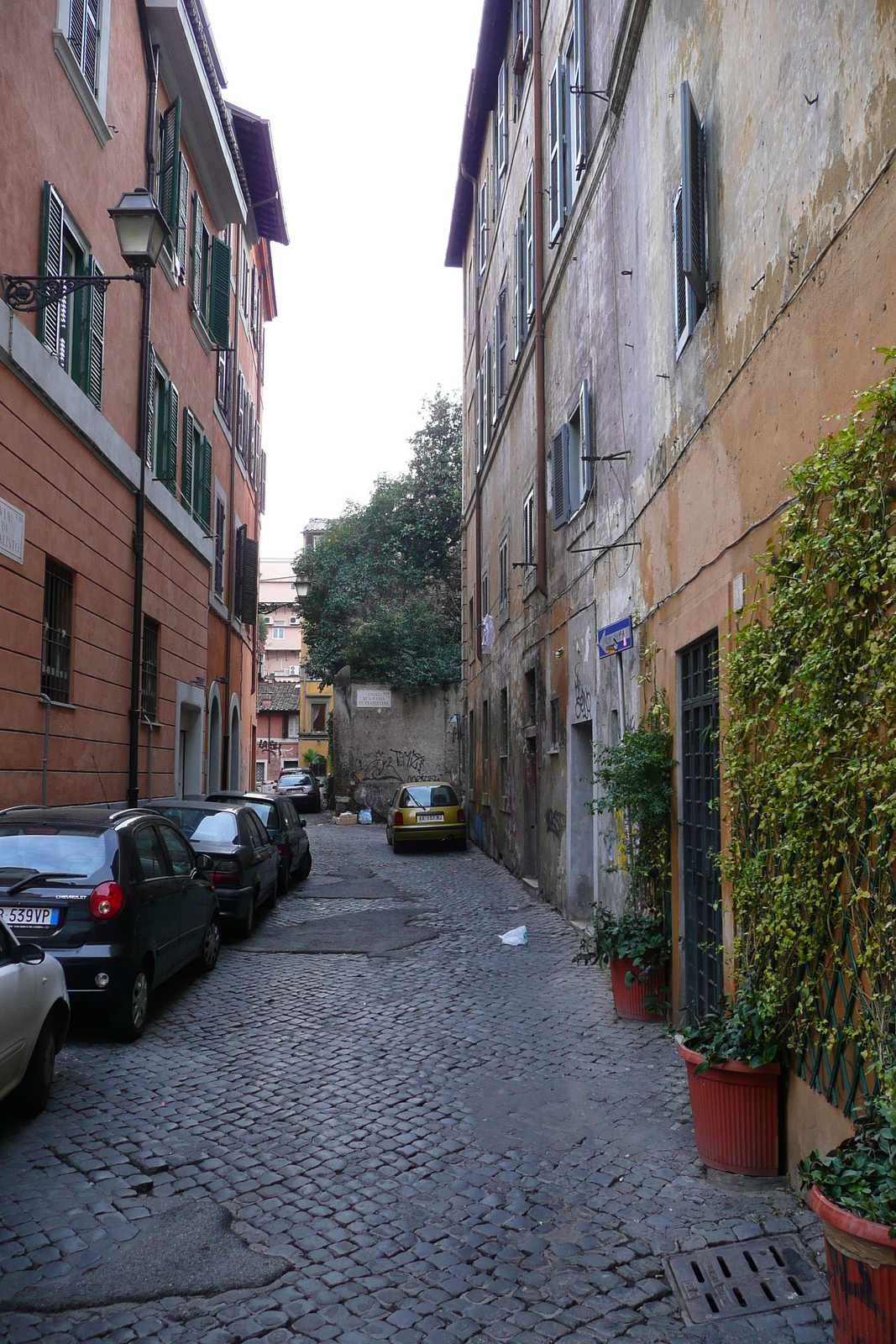 照片 意大利(Italy) 罗马(Rome) 特拉斯提弗列(Trastevere) 2007-11 14