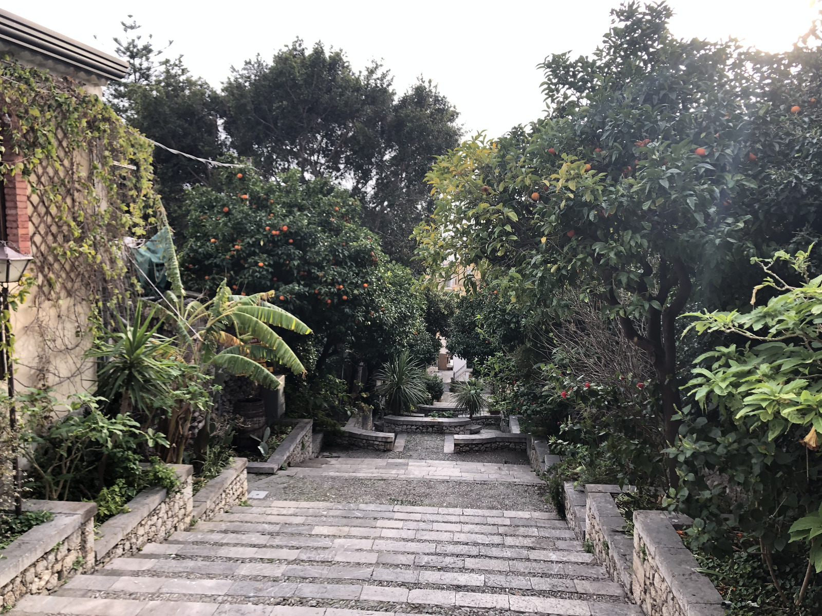 照片 意大利(Italy) 西西里岛(Sicily) 陶尔米纳(Taormina) 2020-02 133