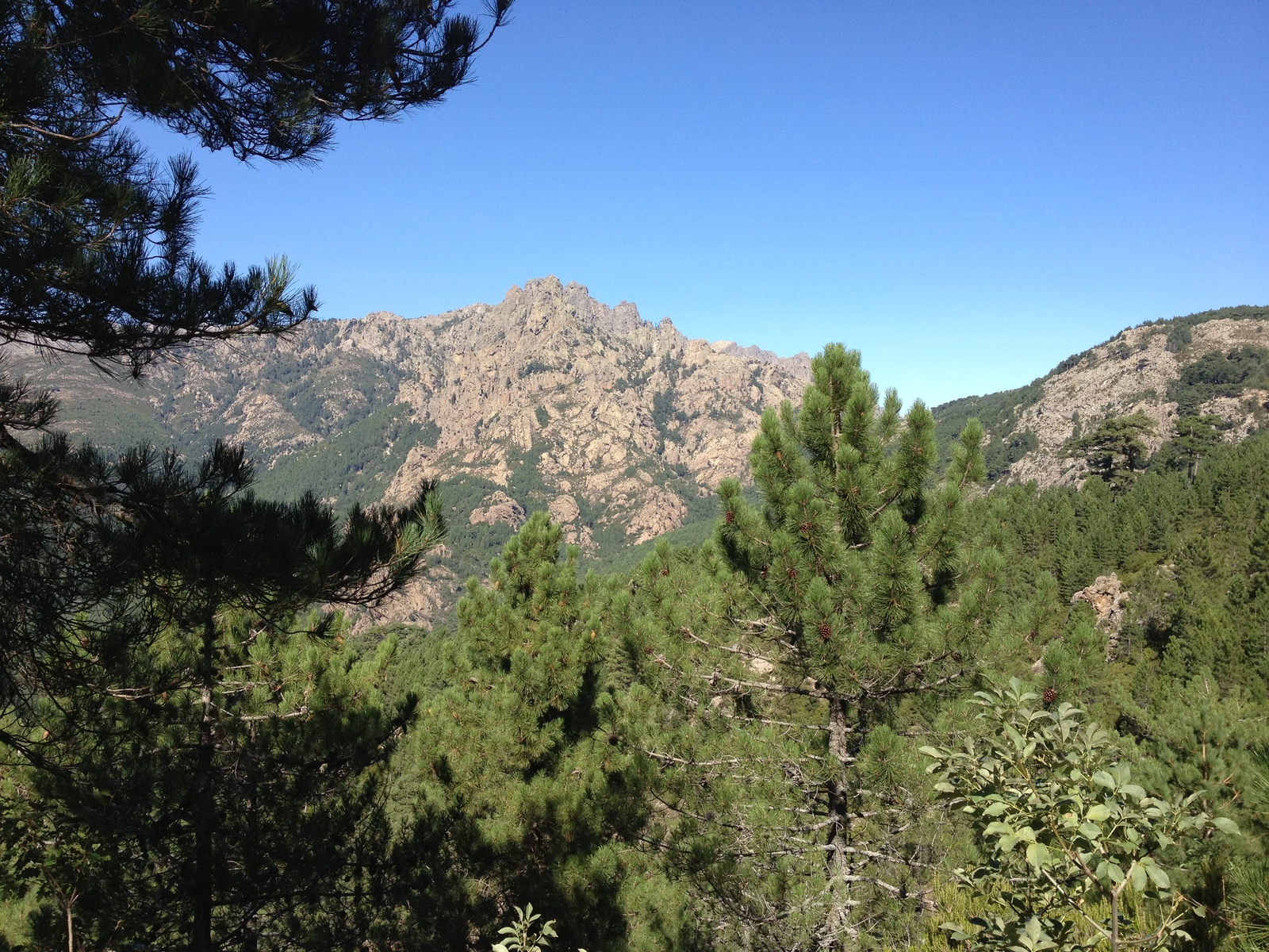 照片 法国(France) 科西嘉岛(Corsica) 巴韦拉(Bavella) 2012-09 53