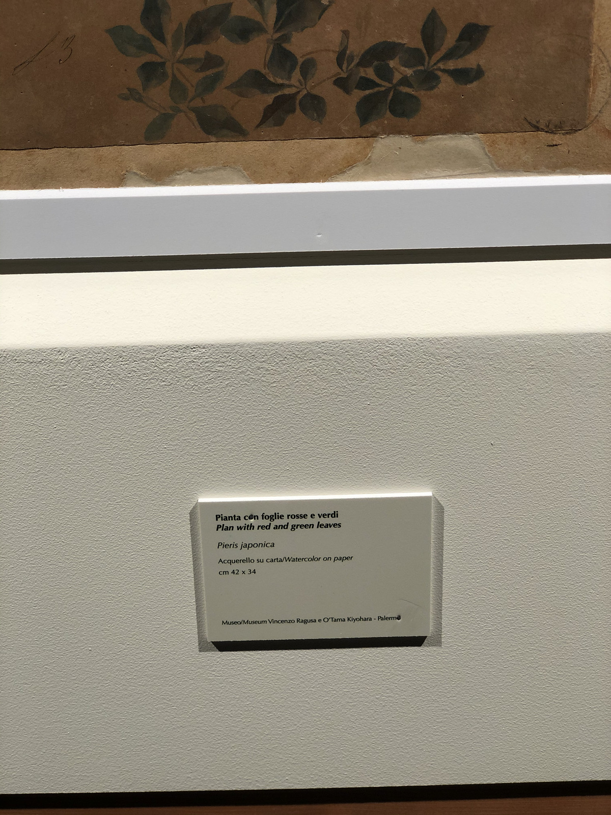 照片 意大利(Italy) 西西里岛(Sicily) 巴勒莫(Palermo) 诺曼王宫(Palazzo dei Normanni) 2020-02 44