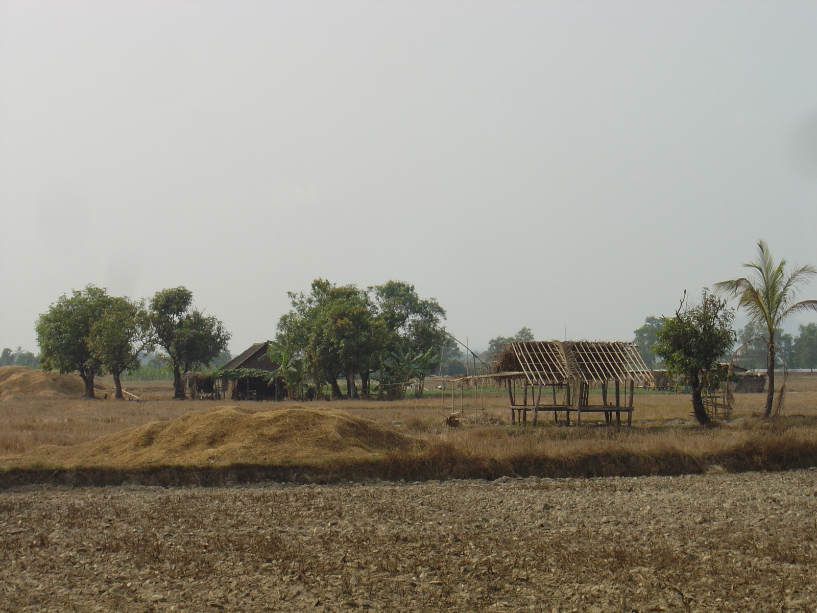照片 缅甸(Myanmar) 土瓦(Dawei (TAVOY)) 2005-01 15