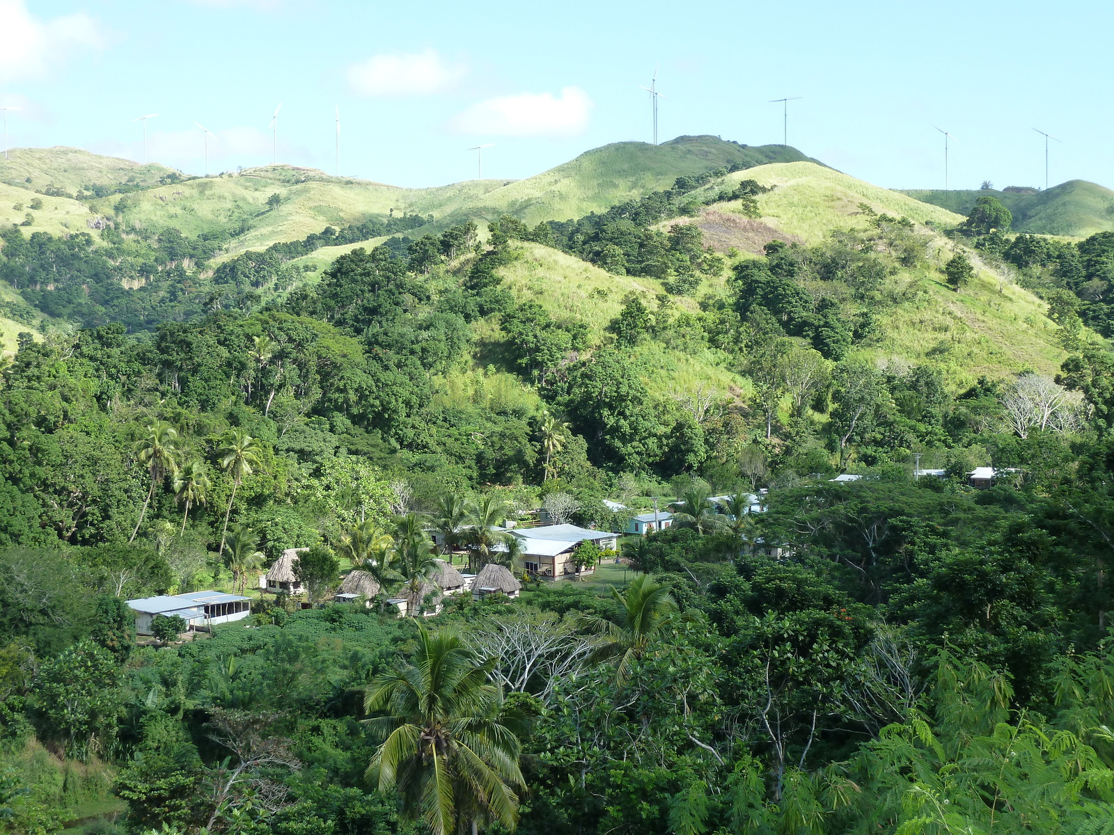 照片 斐济(Fiji) 辛加东卡河(Sigatoka river) 2010-05 21