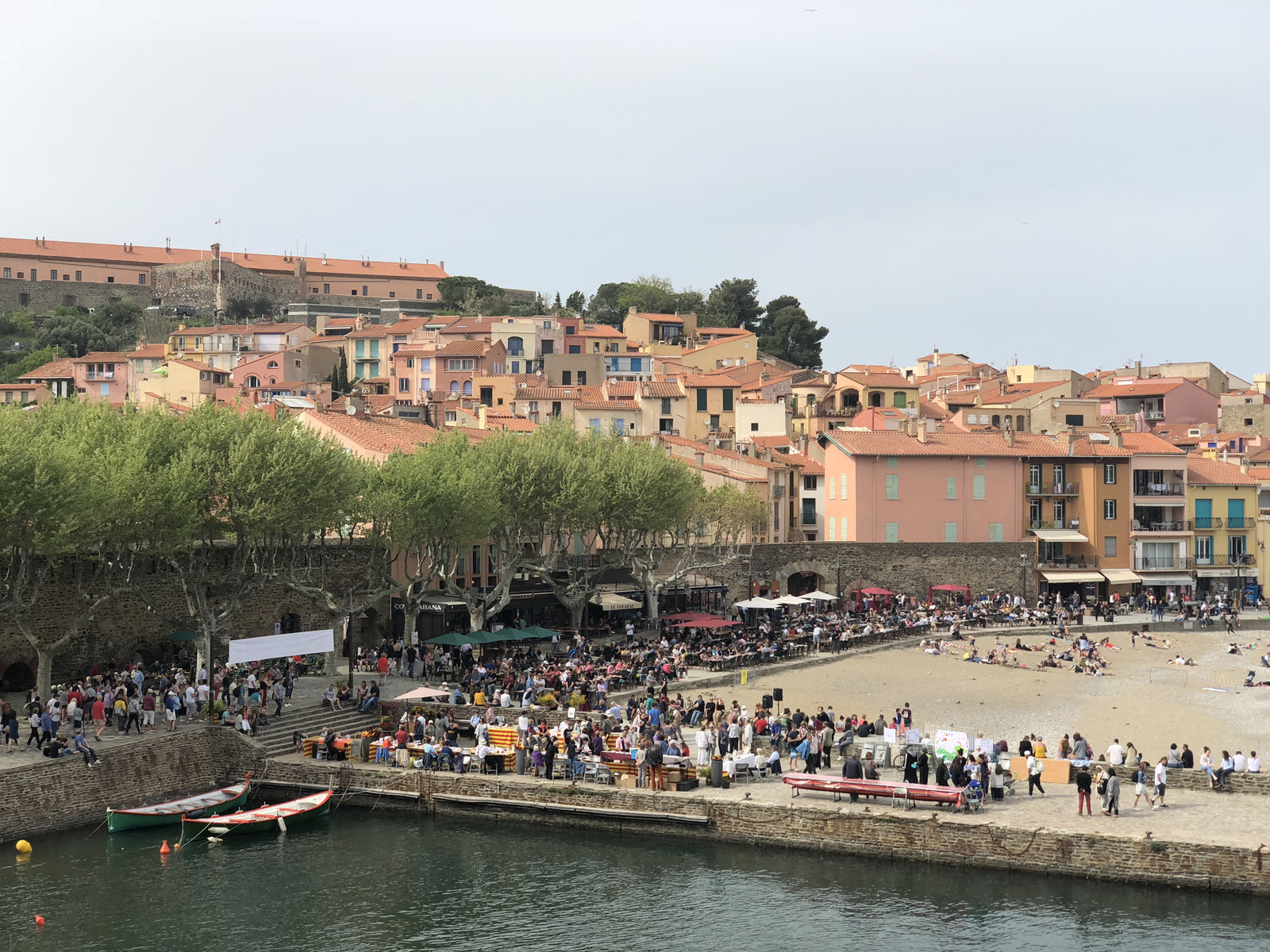 照片 法国(France) 科利乌尔(Collioure) 2018-04 160