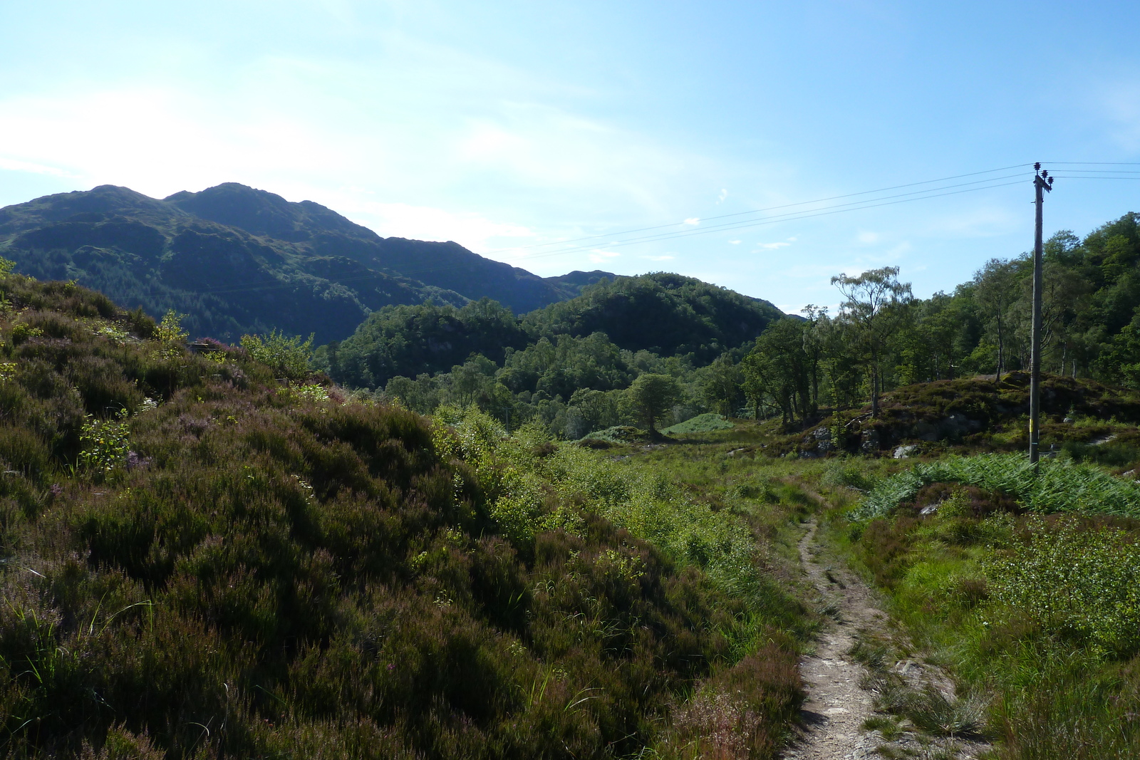 照片 英国(United Kingdom) 特罗萨克斯(The Trossachs) 2011-07 80
