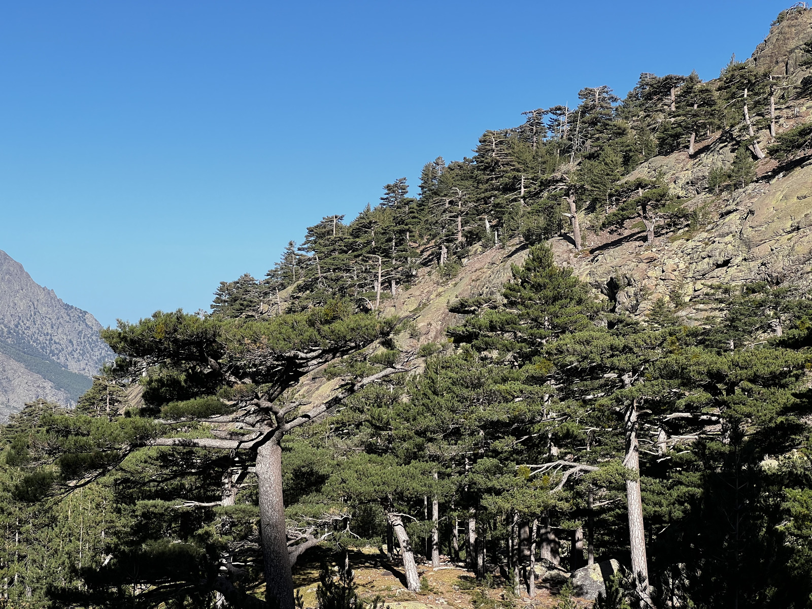 照片 法国(France) 科西嘉岛(Corsica) 钦托山(Monte Cinto) 2023-10 159