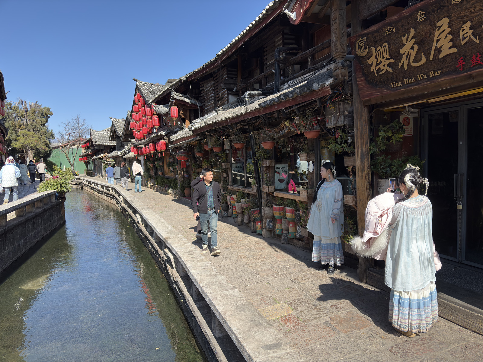 照片 中国(China) 丽江(Lijiang) 2026-01 77