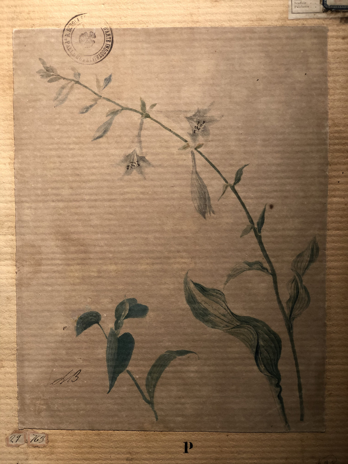 照片 意大利(Italy) 西西里岛(Sicily) 巴勒莫(Palermo) 诺曼王宫(Palazzo dei Normanni) 2020-02 16