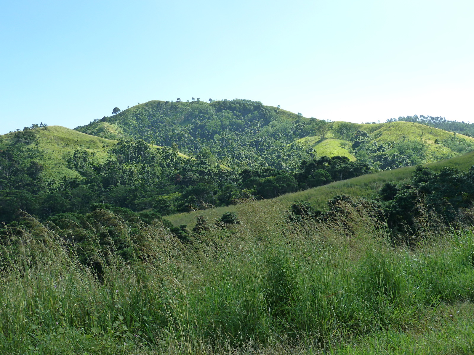 照片 斐济(Fiji) 辛加东卡河(Sigatoka river) 2010-05 80