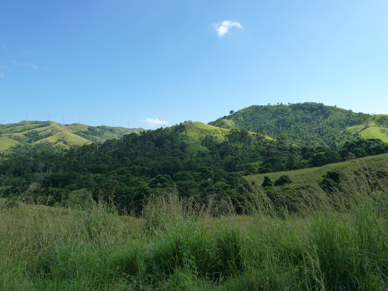 照片 斐济(Fiji) 辛加东卡河(Sigatoka river) 2010-05 69
