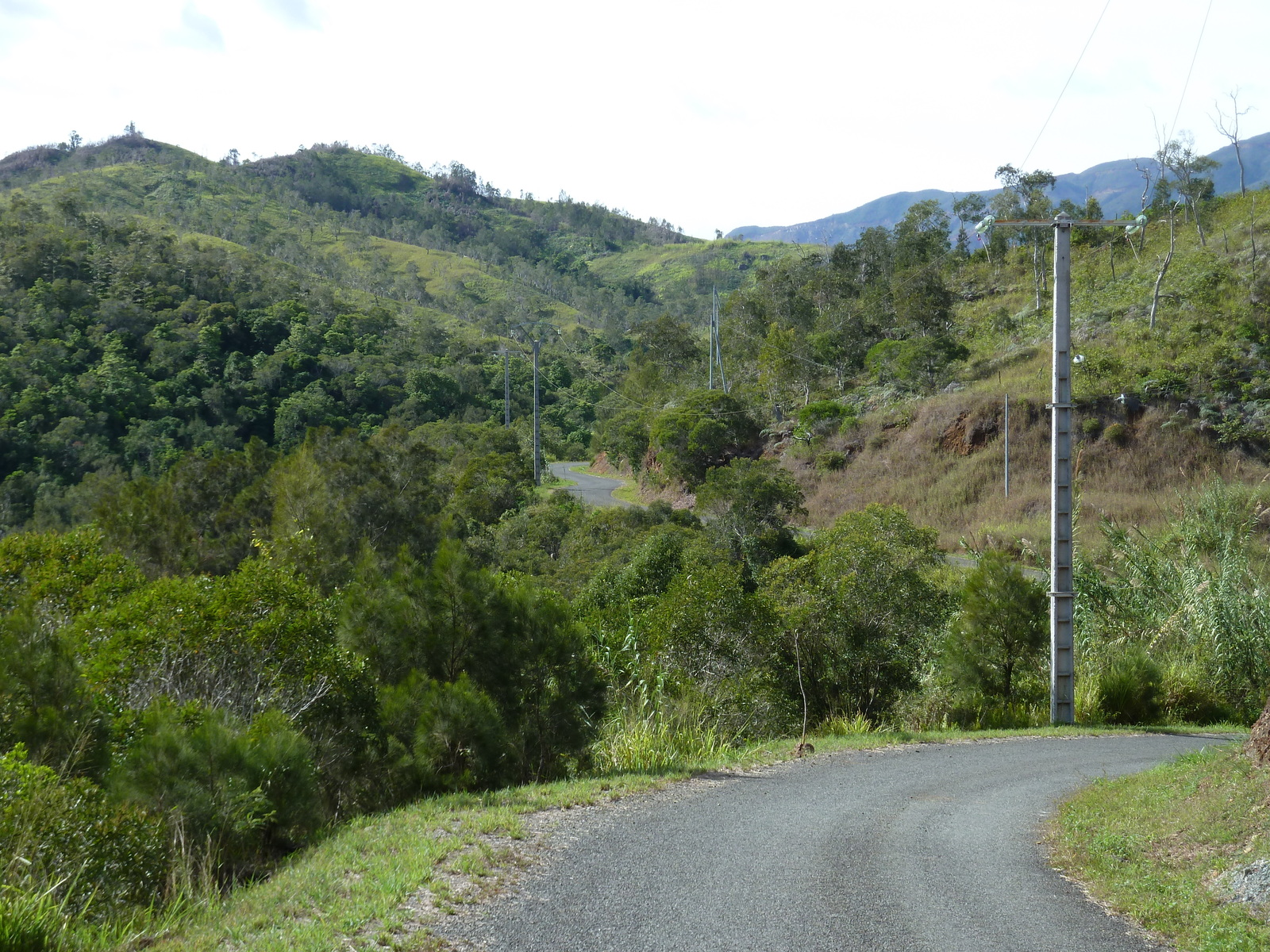 照片 新喀里多尼亚(New Caledonia) 通图塔至蒂奥公路(Tontouta to Thio road) 2010-05 136