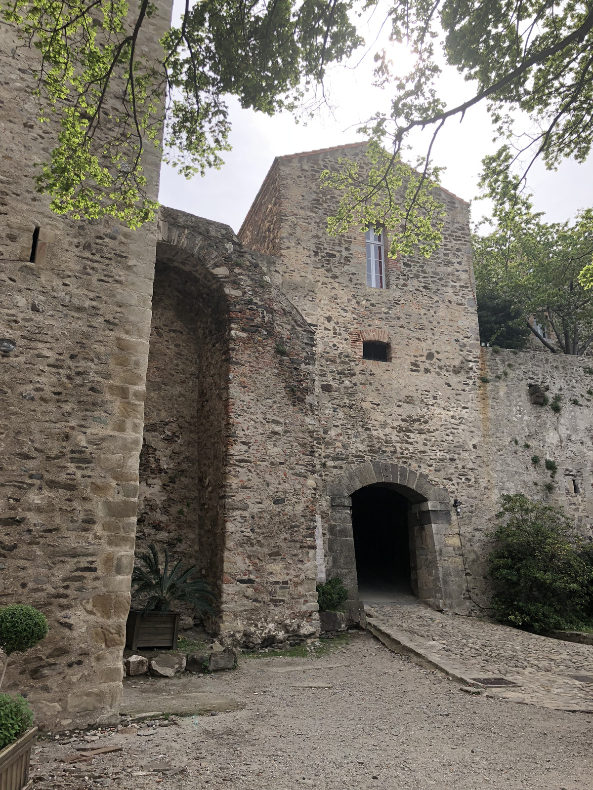 照片 法国(France) 科利乌尔(Collioure) 2018-04 313